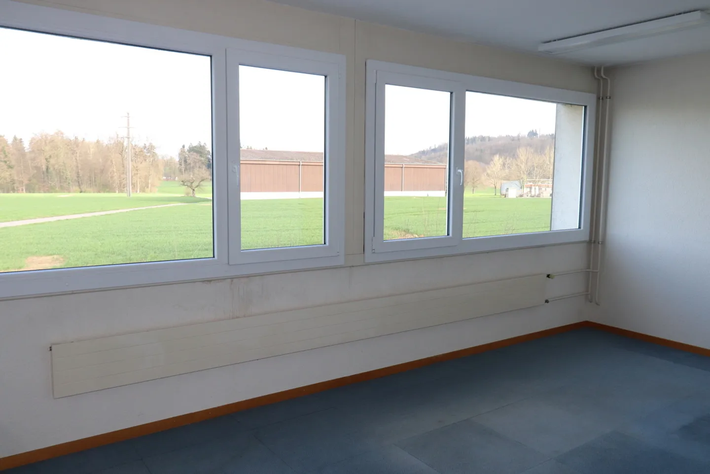 Commercial property in a central and beautiful green location - Photo 4 of 6