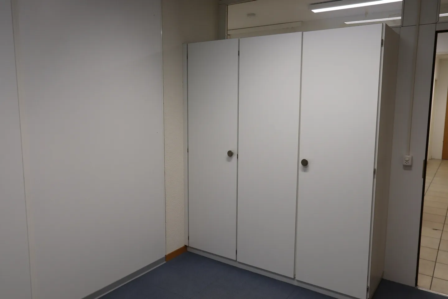 Commercial property in a central and beautiful green location - Photo 5 of 6
