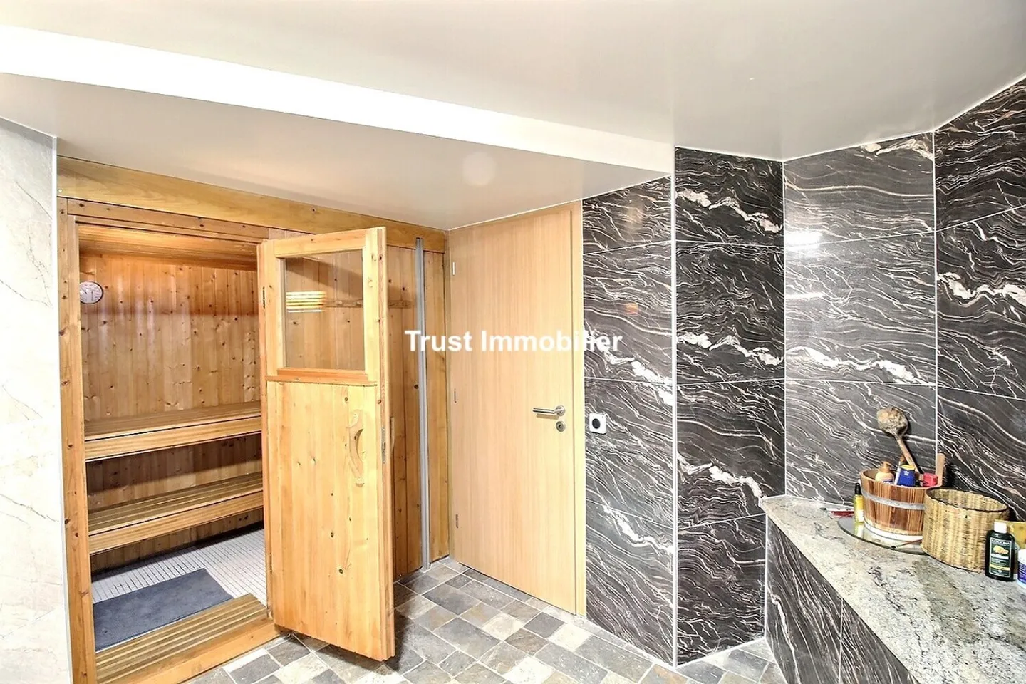 VESSY: VILLA D'ARCHITETTO RISTRUTTURATA CON VISTA SALEVE - Foto 10 di 12