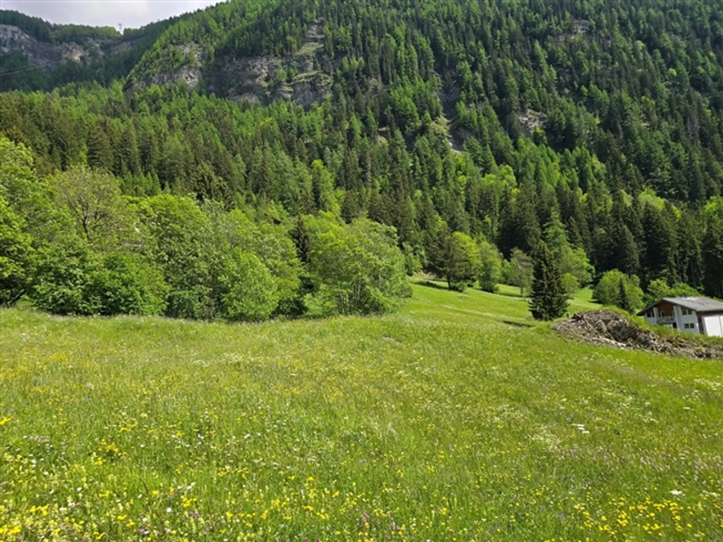 Terrain - 953 m2 - Leukerbad - ref. 10245442 - Photo 3 sur 5