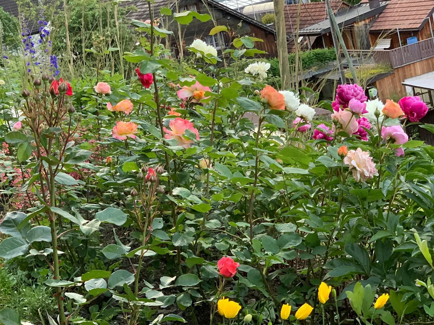 Charmante Attikawohnung mit Aussicht - Foto 26 von 26