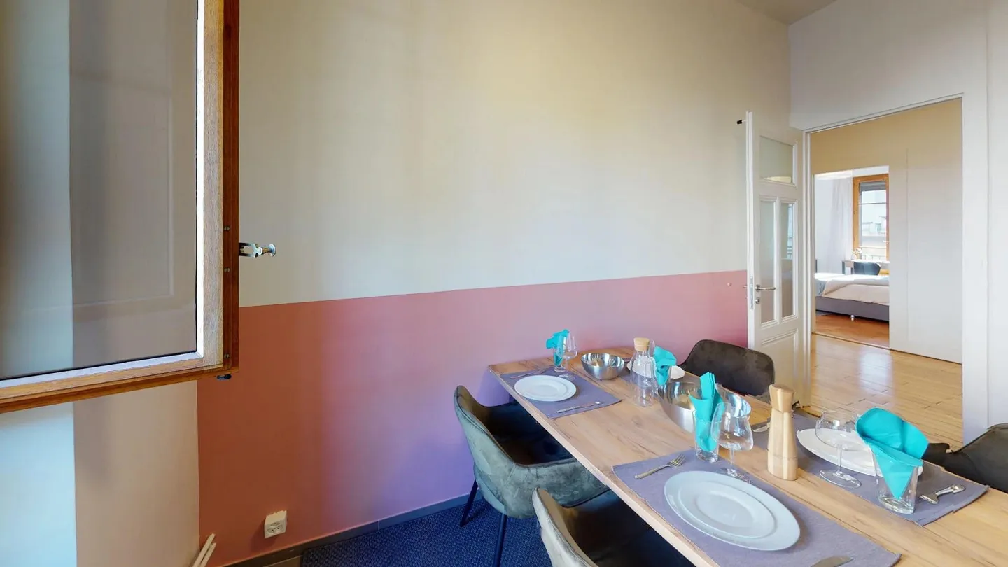 Freundlicher Mitbewohner im Hyperzentrum von Genf - Foto 7 von 11