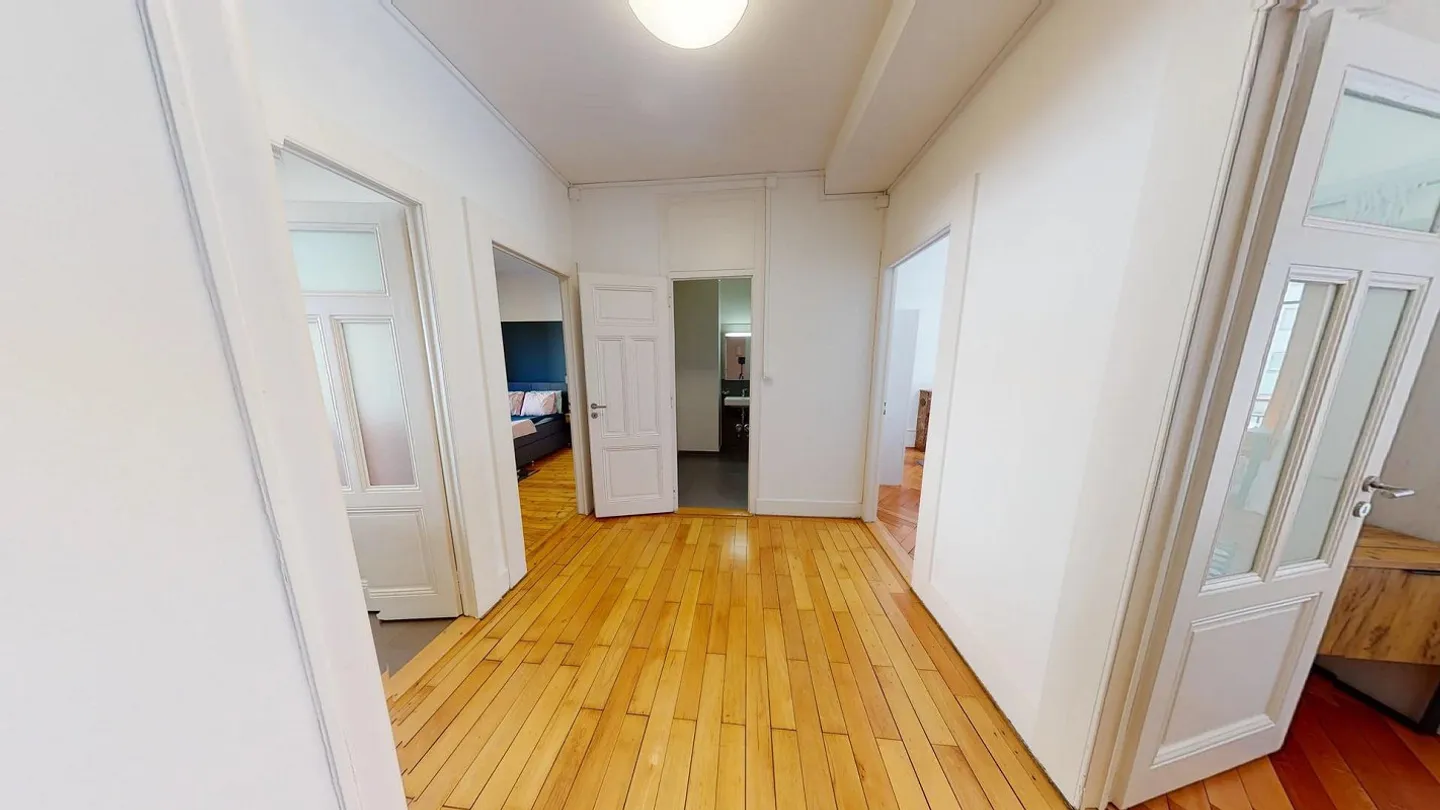 Freundlicher Mitbewohner im Hyperzentrum von Genf - Foto 10 von 11