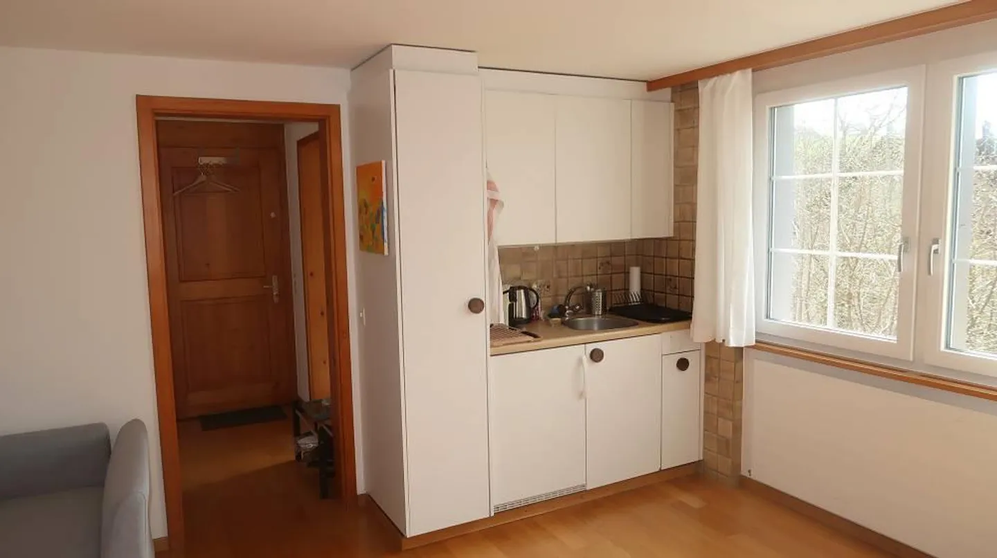 Appartement 1 pièce dans un emplacement calme à Herisau - Photo 5 sur 6