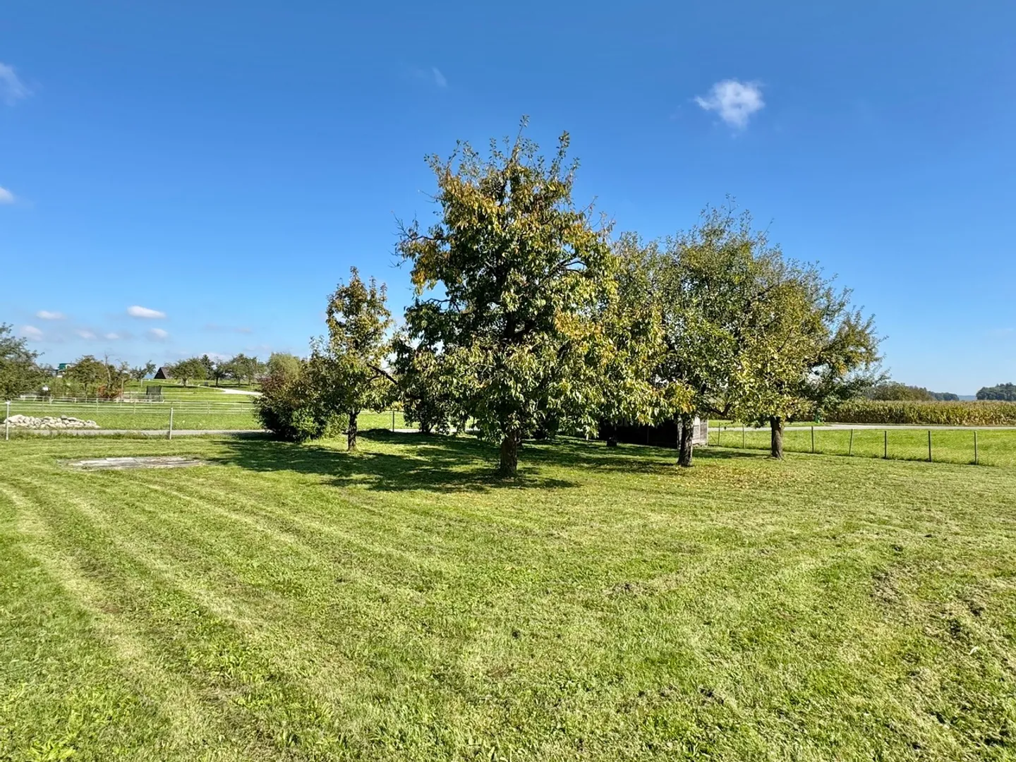Einfamilienhaus kaufen - Foto 12 von 12