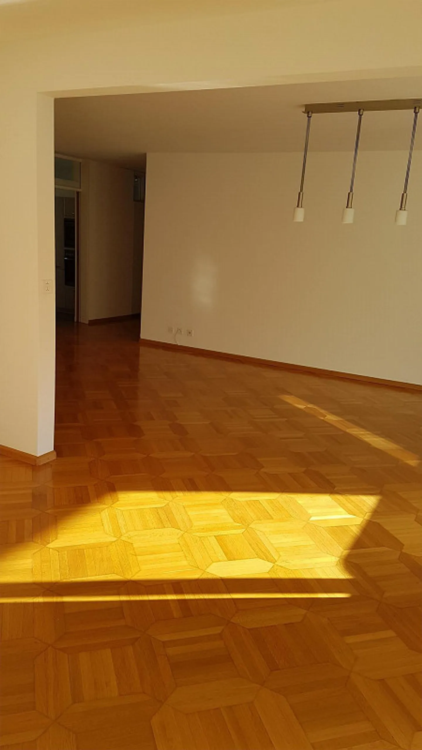 Large, sunny 4-room apartment in the attic - Photo 7 of 15