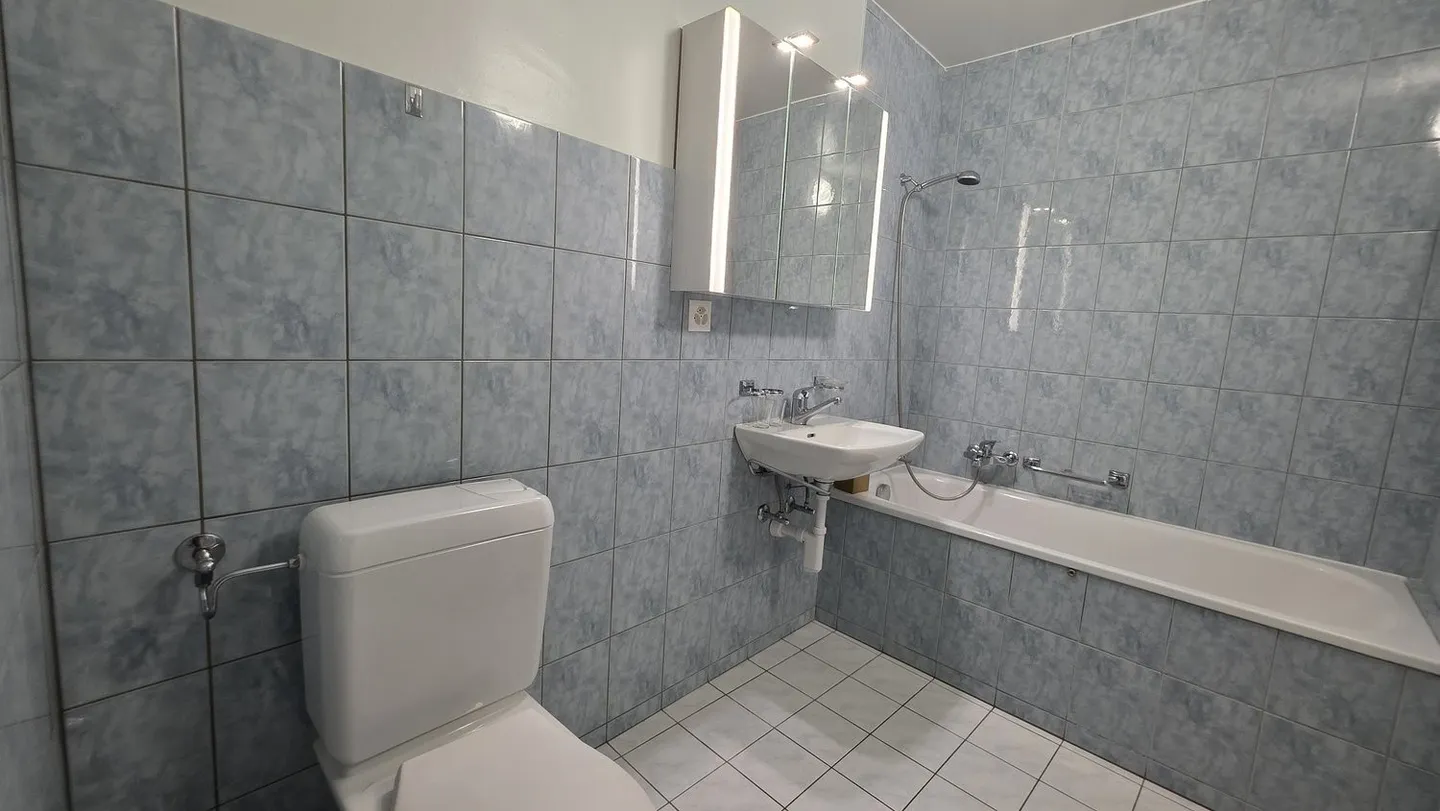 GERÄUMIGE WOHNUNG MIT GROSSEM BALKON - Foto 6 von 7