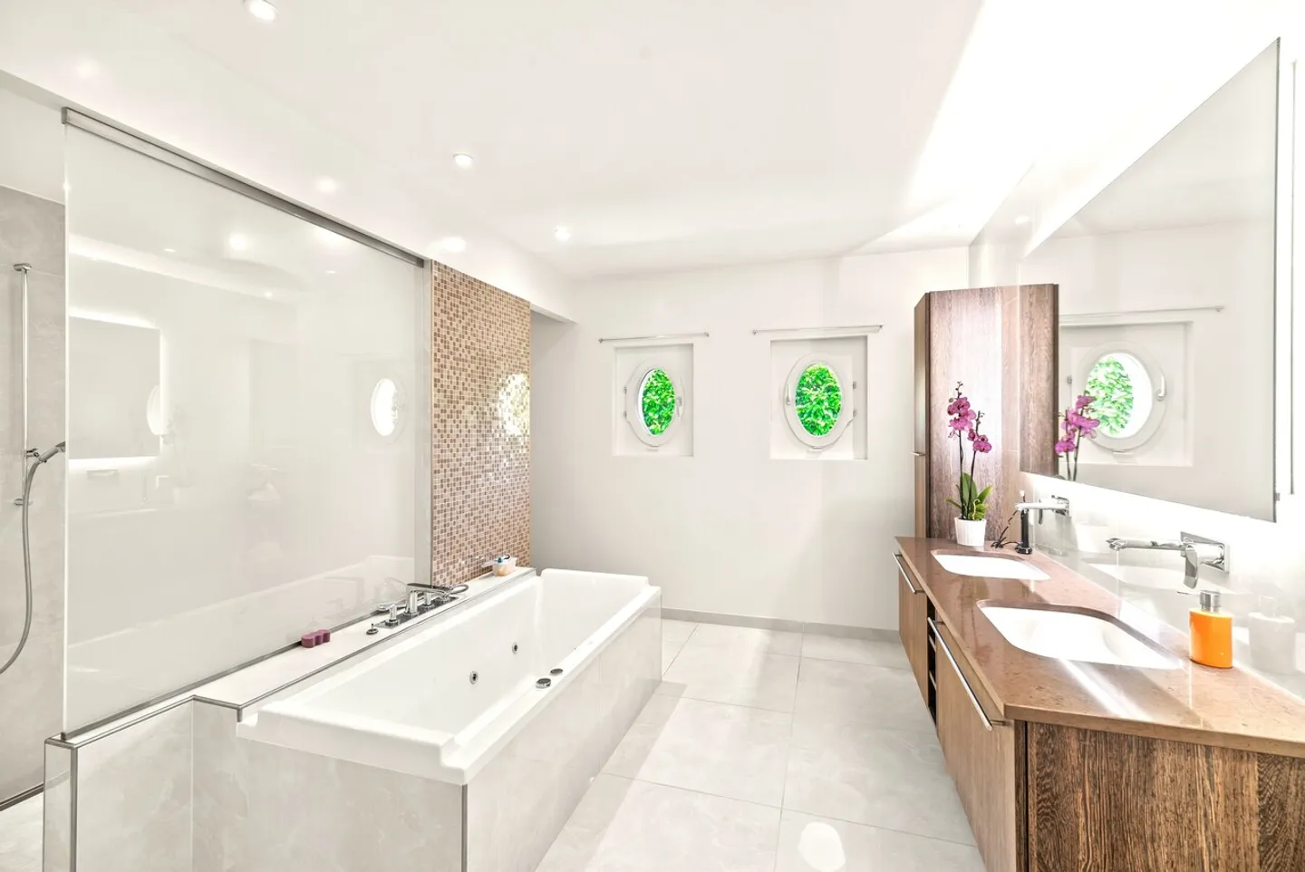 Property "feet in the water" with pool near Rolle - Photo 13 of 18