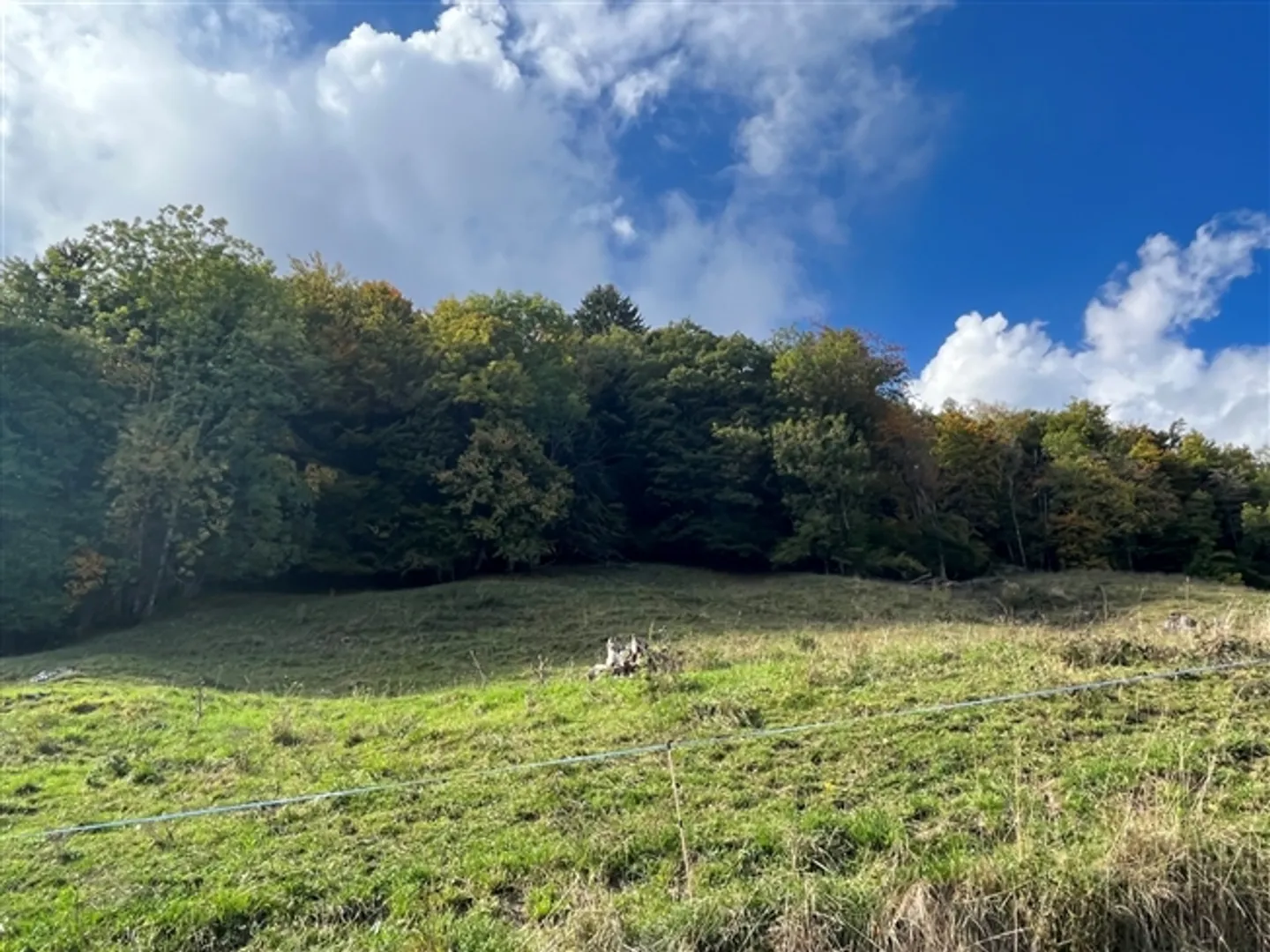 Terrain - 1'990 m2 - Les Neyres - Photo 1 sur 4