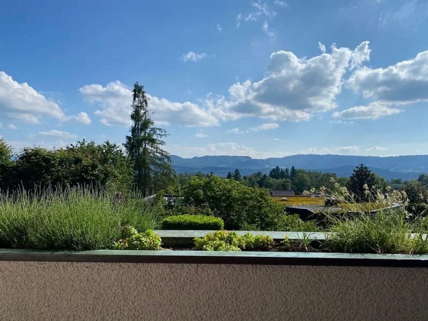 Prima locazione dopo ristrutturazione totale appartamento 4.5 in una posizione molto buona - Foto 4 di 8