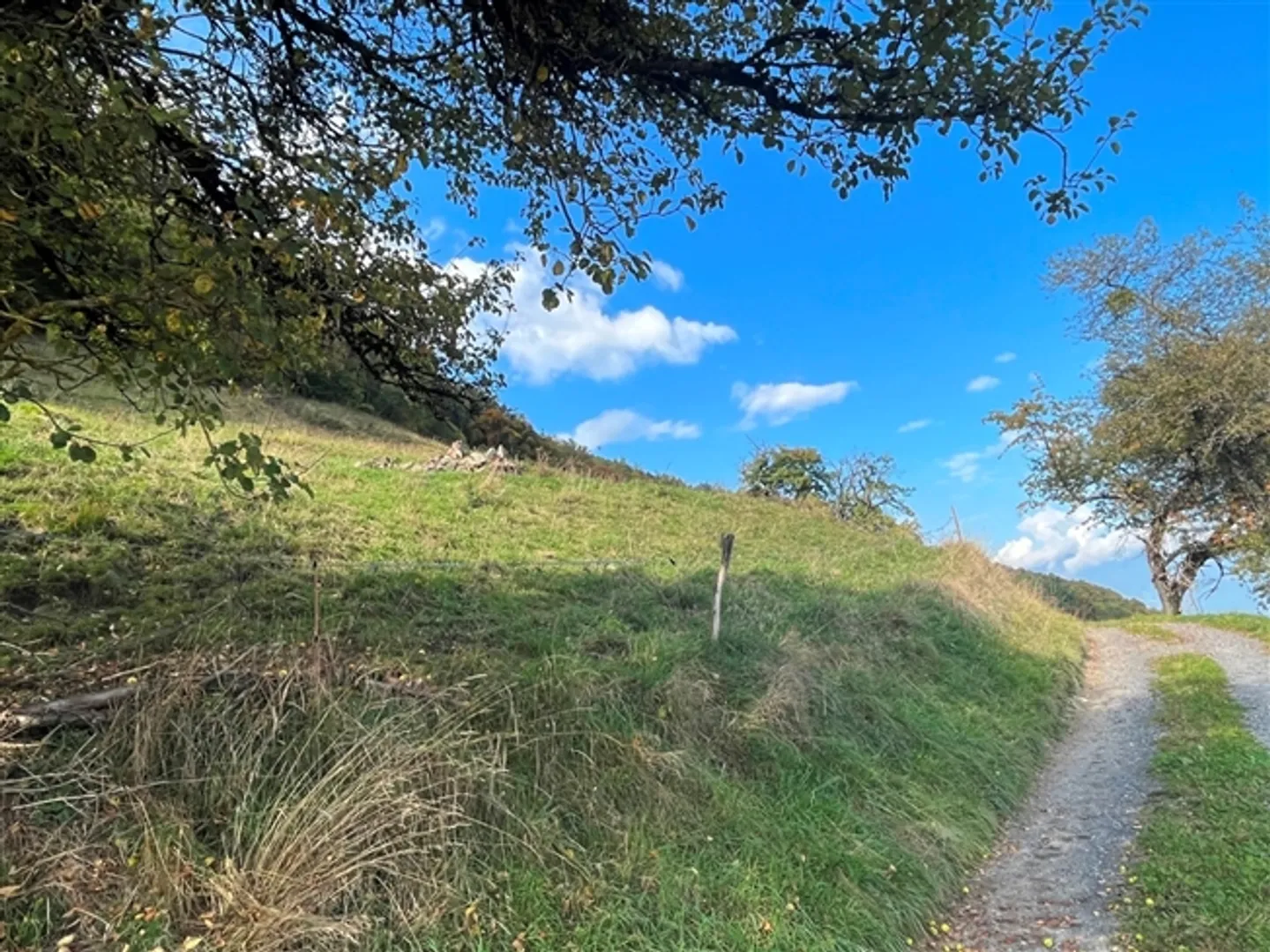 Terrain - 1'990 m2 - Les Neyres - Photo 3 sur 4