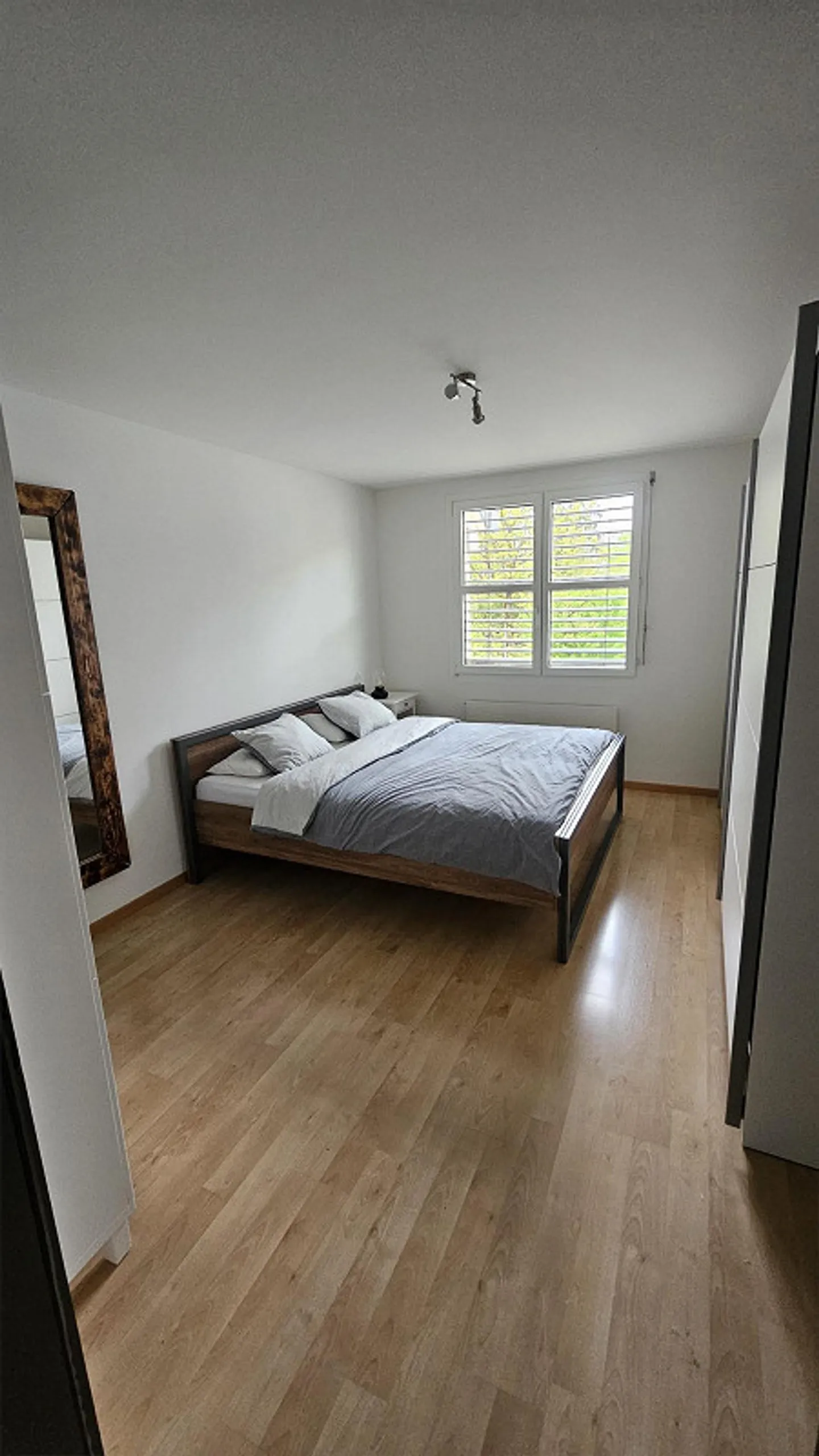 Cercasi nuovo inquilino - Foto 5 di 6