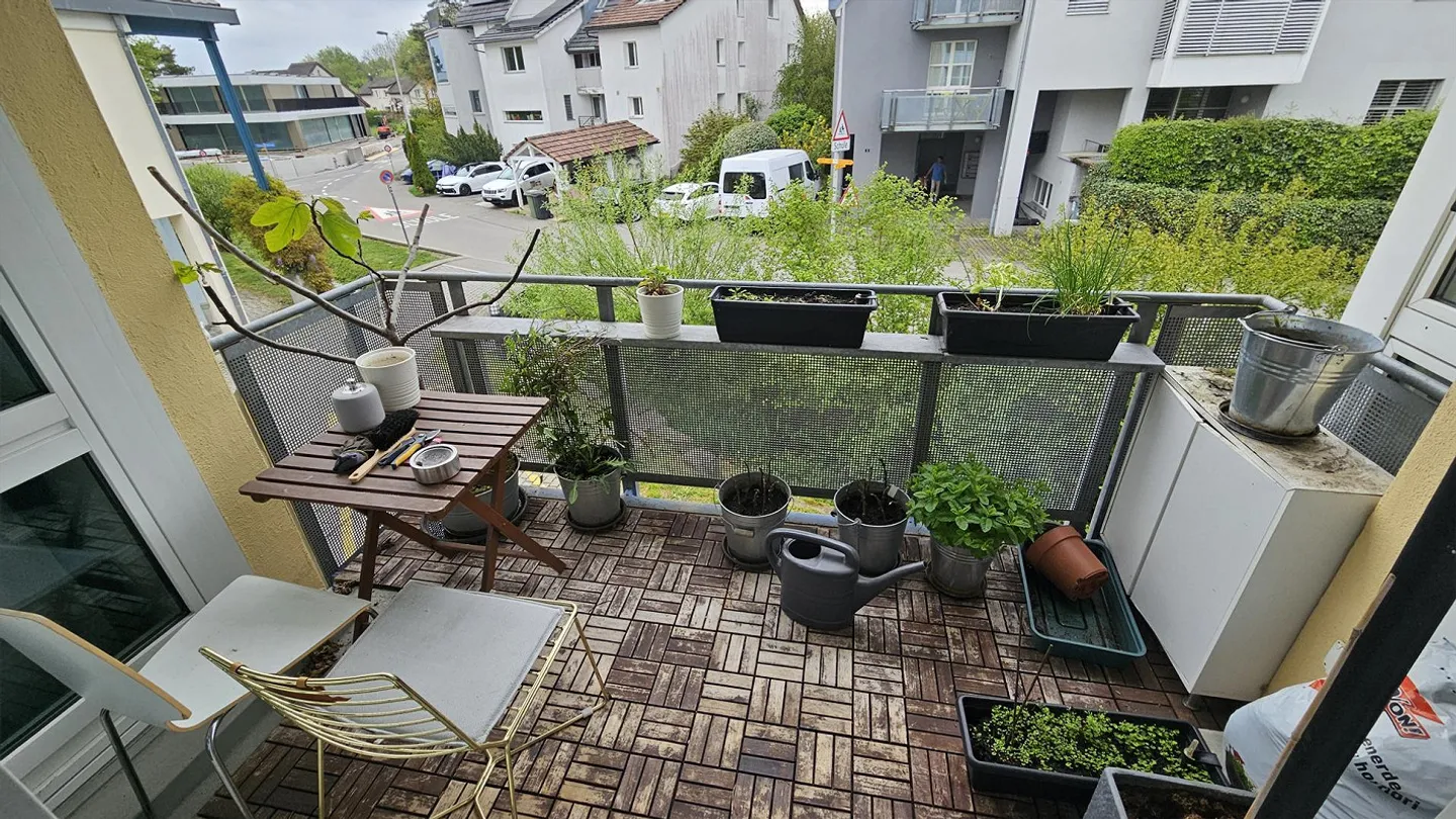 Cercasi nuovo inquilino - Foto 6 di 6