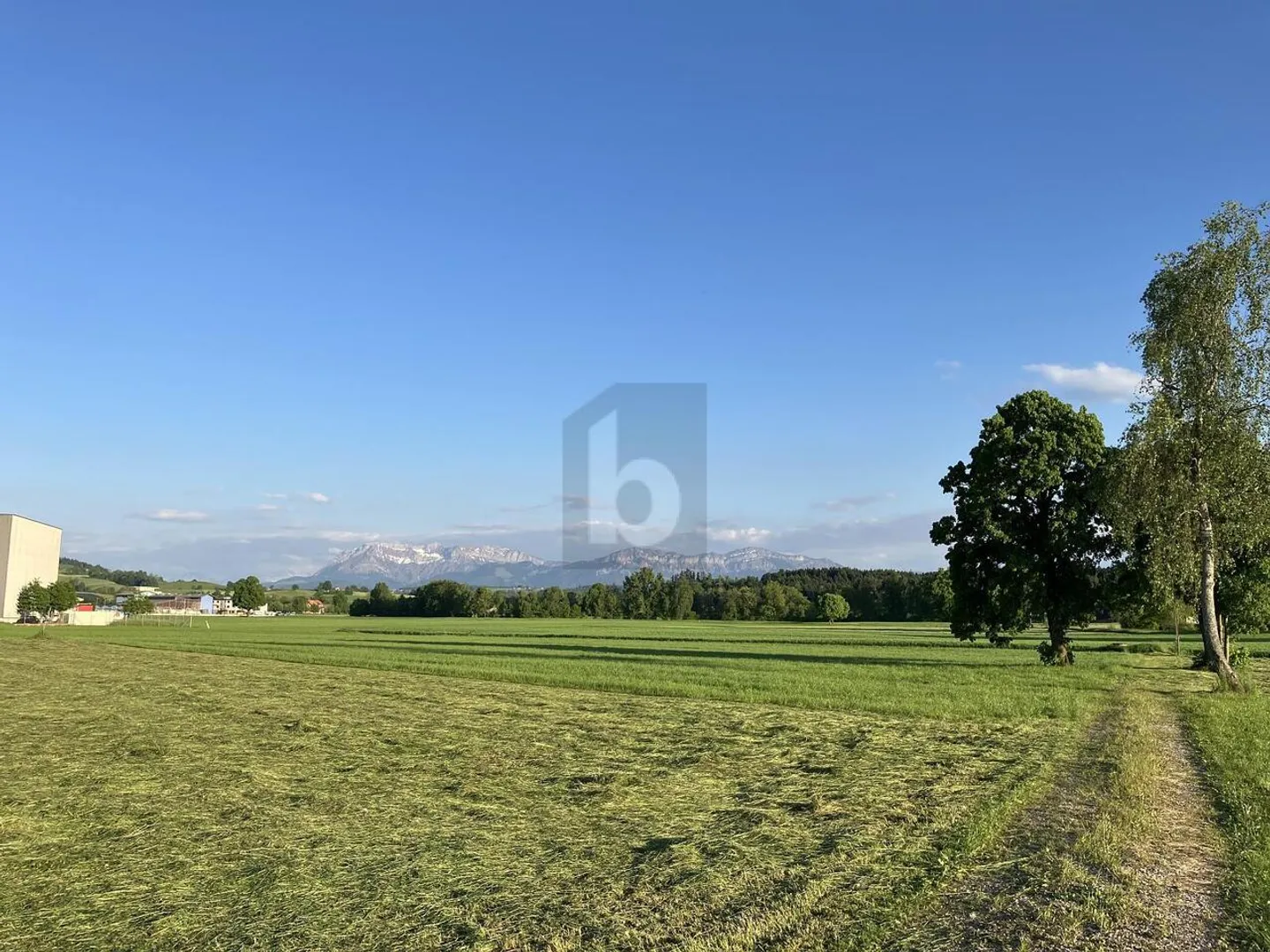 SPACIOUS NEW BUILD WITH AMPLE PARKING - Photo 3 of 5