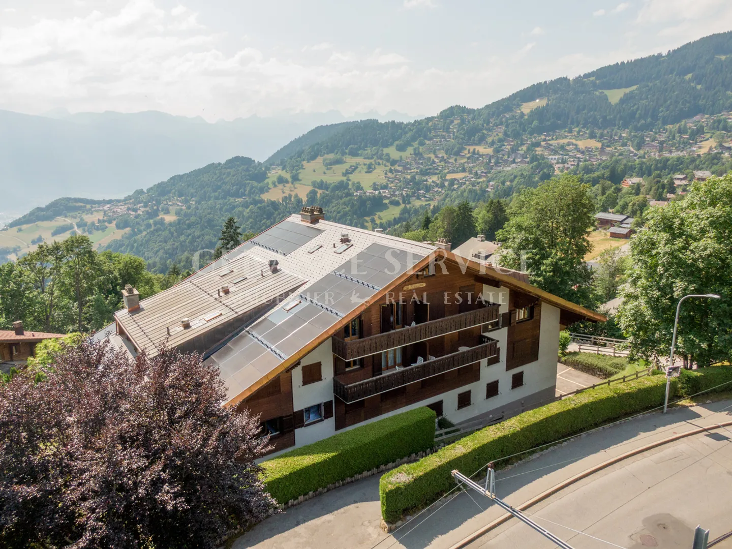 Ambassador 6 - Photo 2 of 19