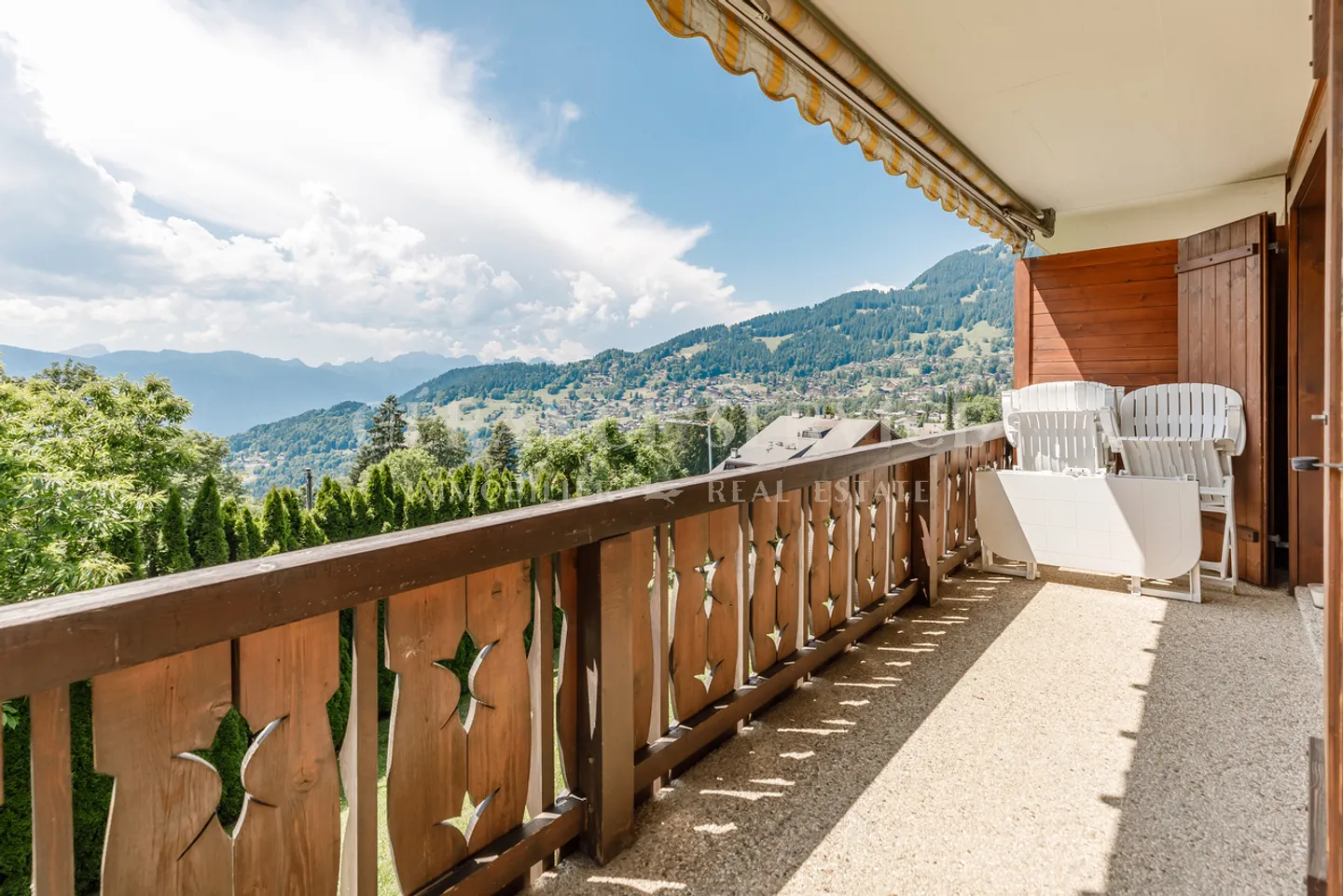 Ambassador 6 - Photo 8 of 19