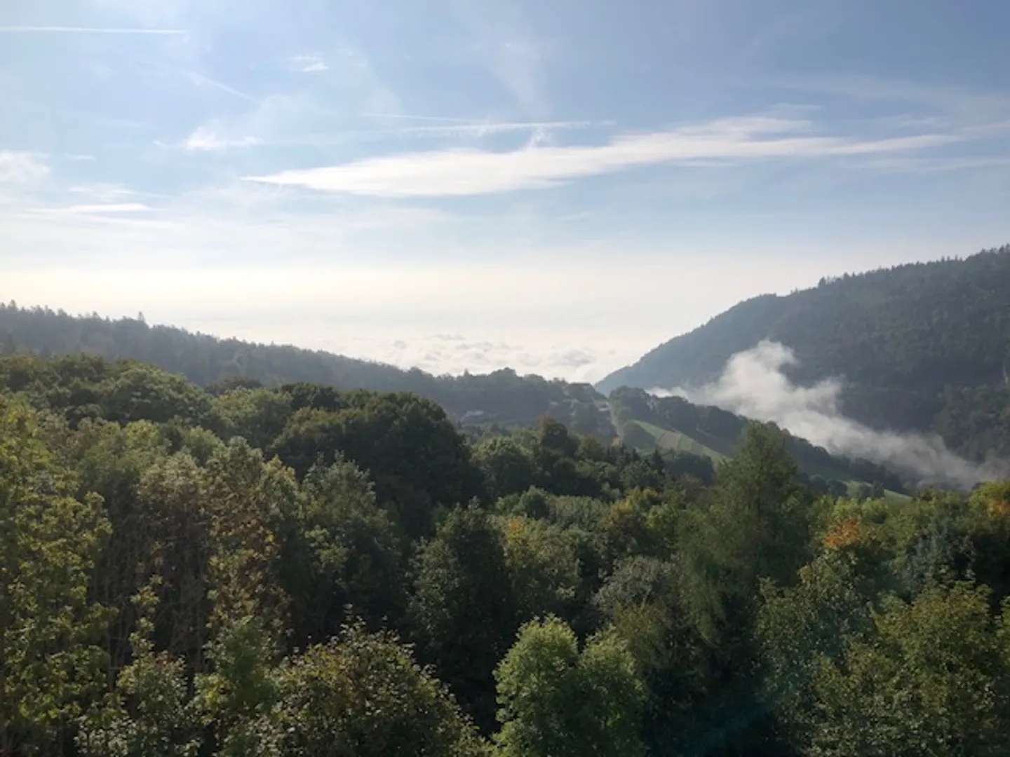 Appartamento 2 locali - Foto 18 di 19