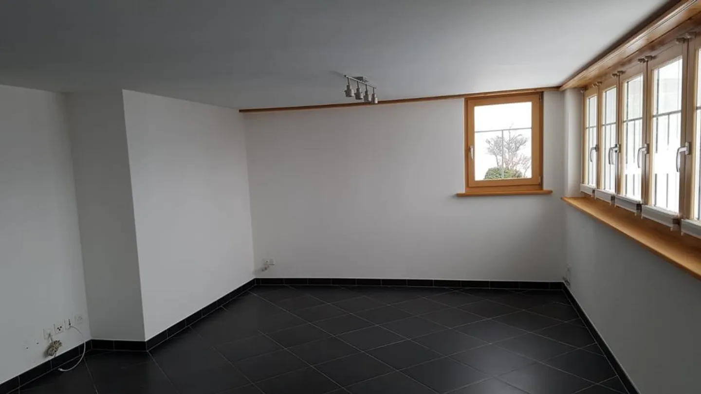 5 1/2 Room Single-Family House with View of the St. Gallen Rhine Valley - Photo 6 of 23