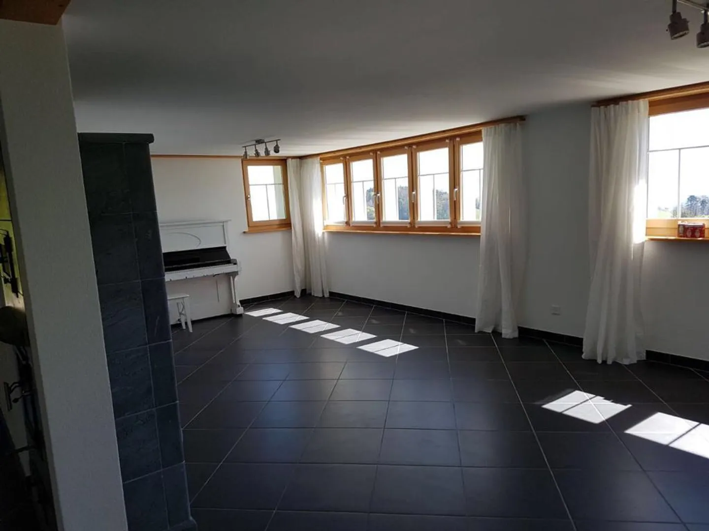 5 1/2 Room Single-Family House with View of the St. Gallen Rhine Valley - Photo 7 of 23