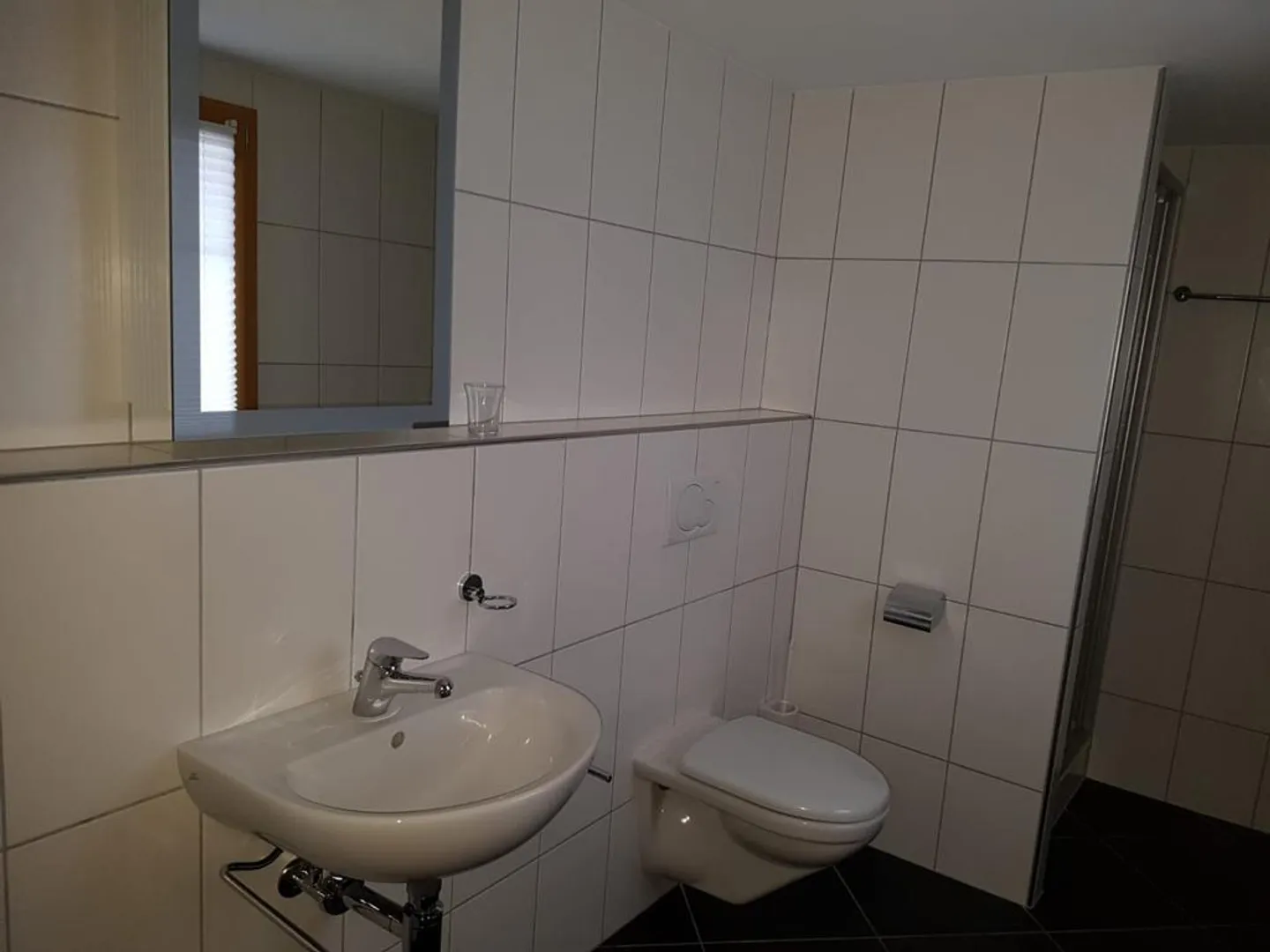 5 1/2 Room Single-Family House with View of the St. Gallen Rhine Valley - Photo 8 of 23