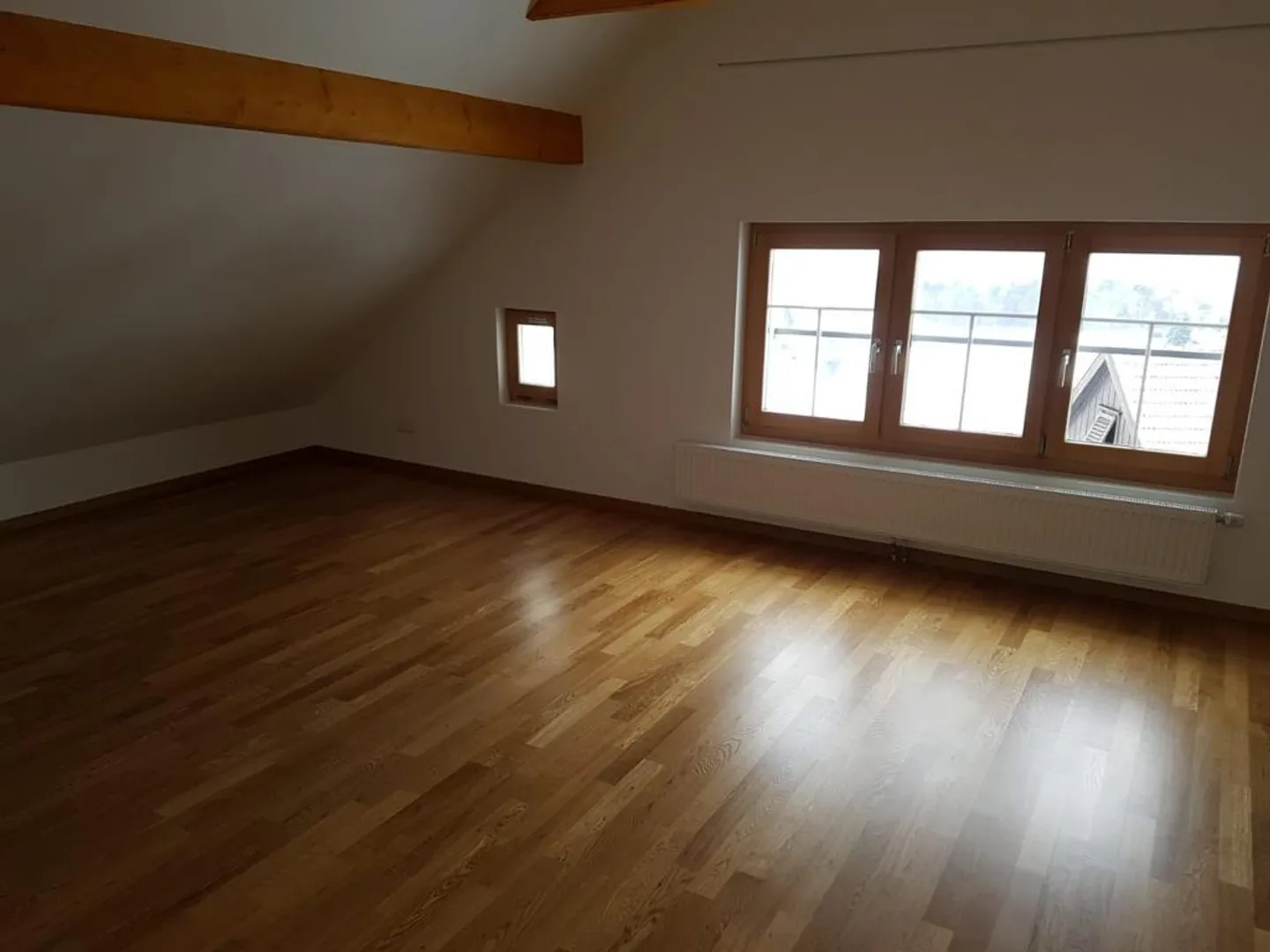 5 1/2 Room Single-Family House with View of the St. Gallen Rhine Valley - Photo 21 of 23