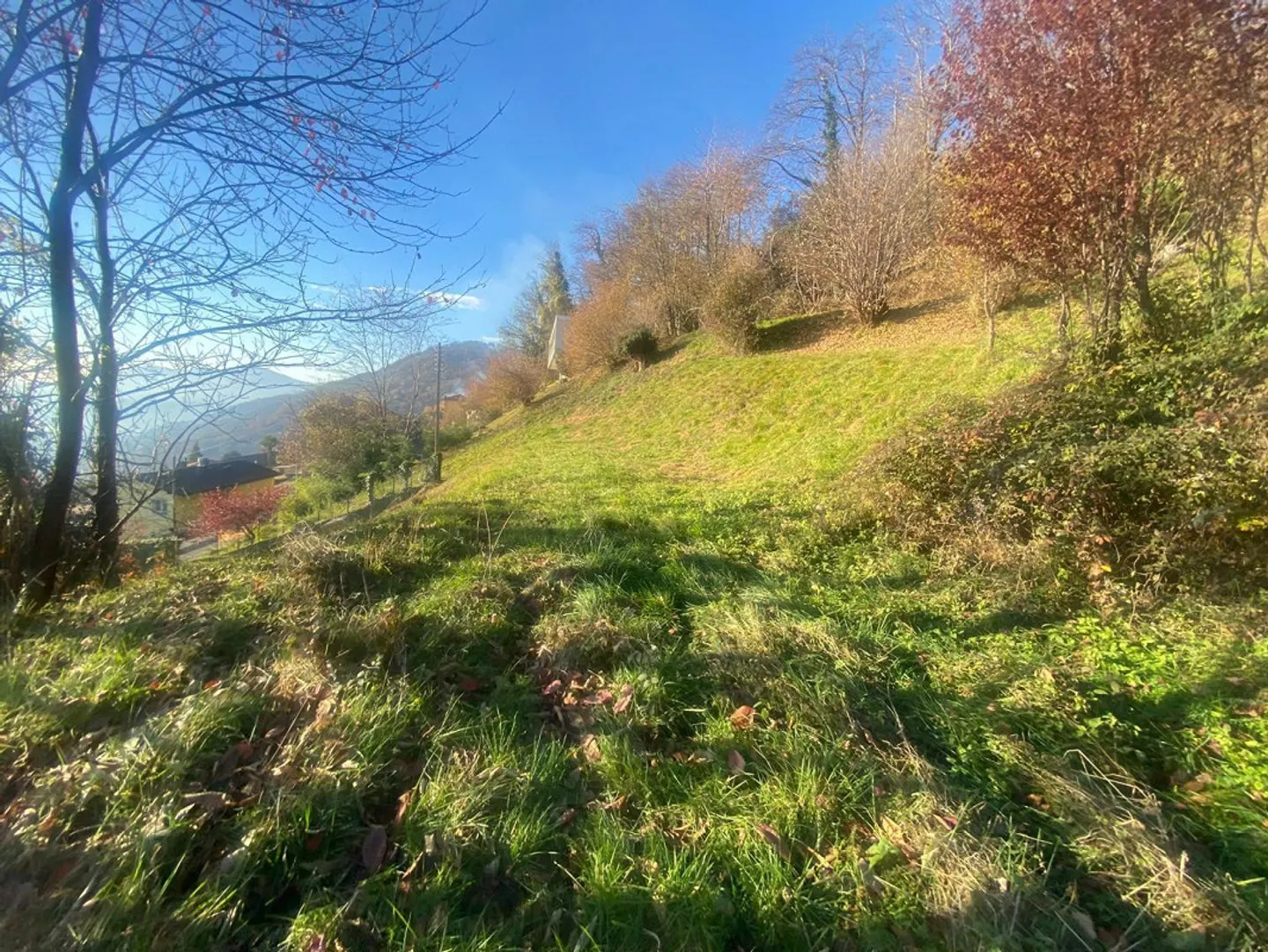 Baugrundstück 2141 m2 sehr ruhig, sonnig mit Aussicht ... - Foto 4 von 12