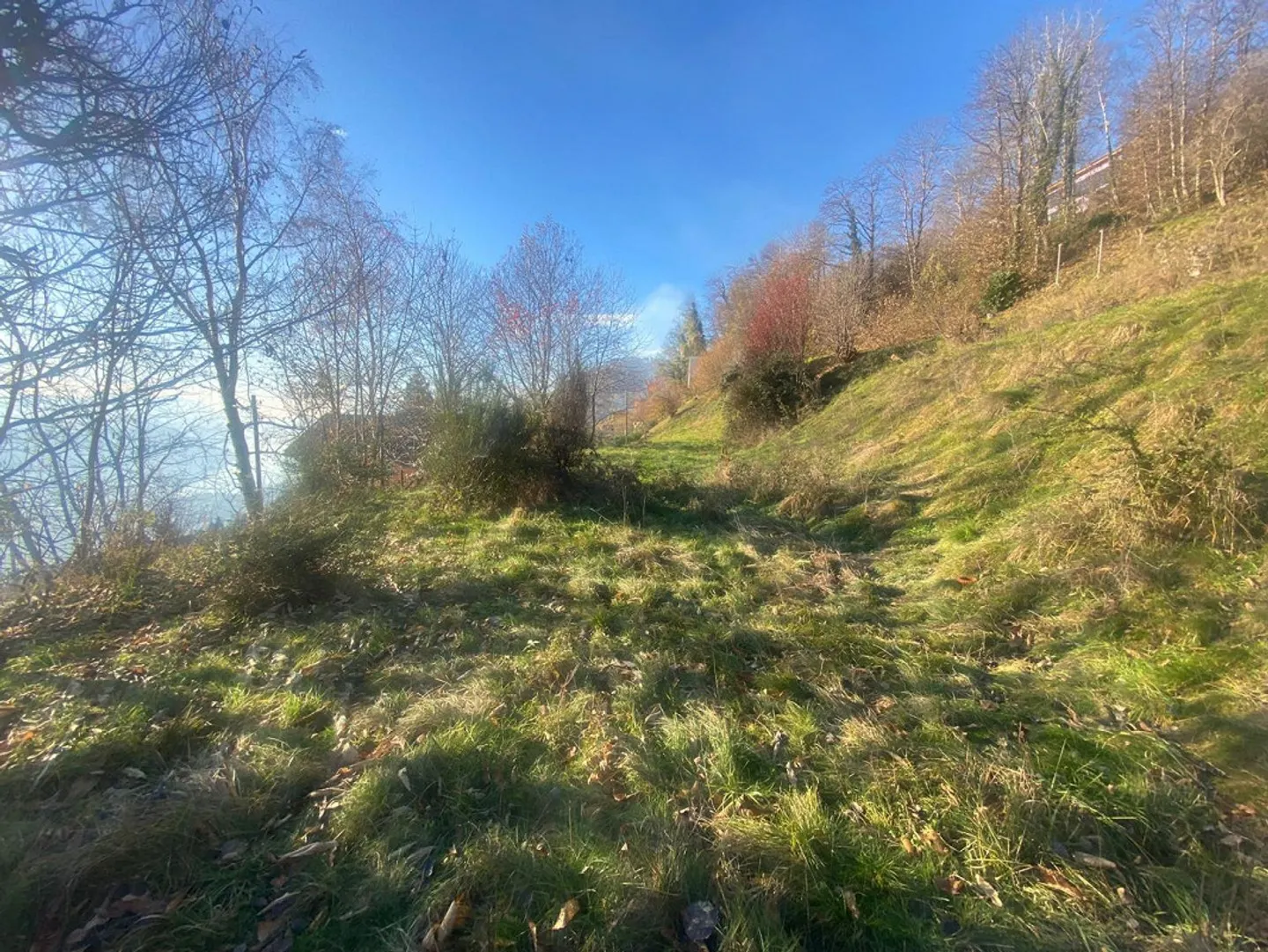 Baugrundstück 2141 m2 sehr ruhig, sonnig mit Aussicht ... - Foto 5 von 12