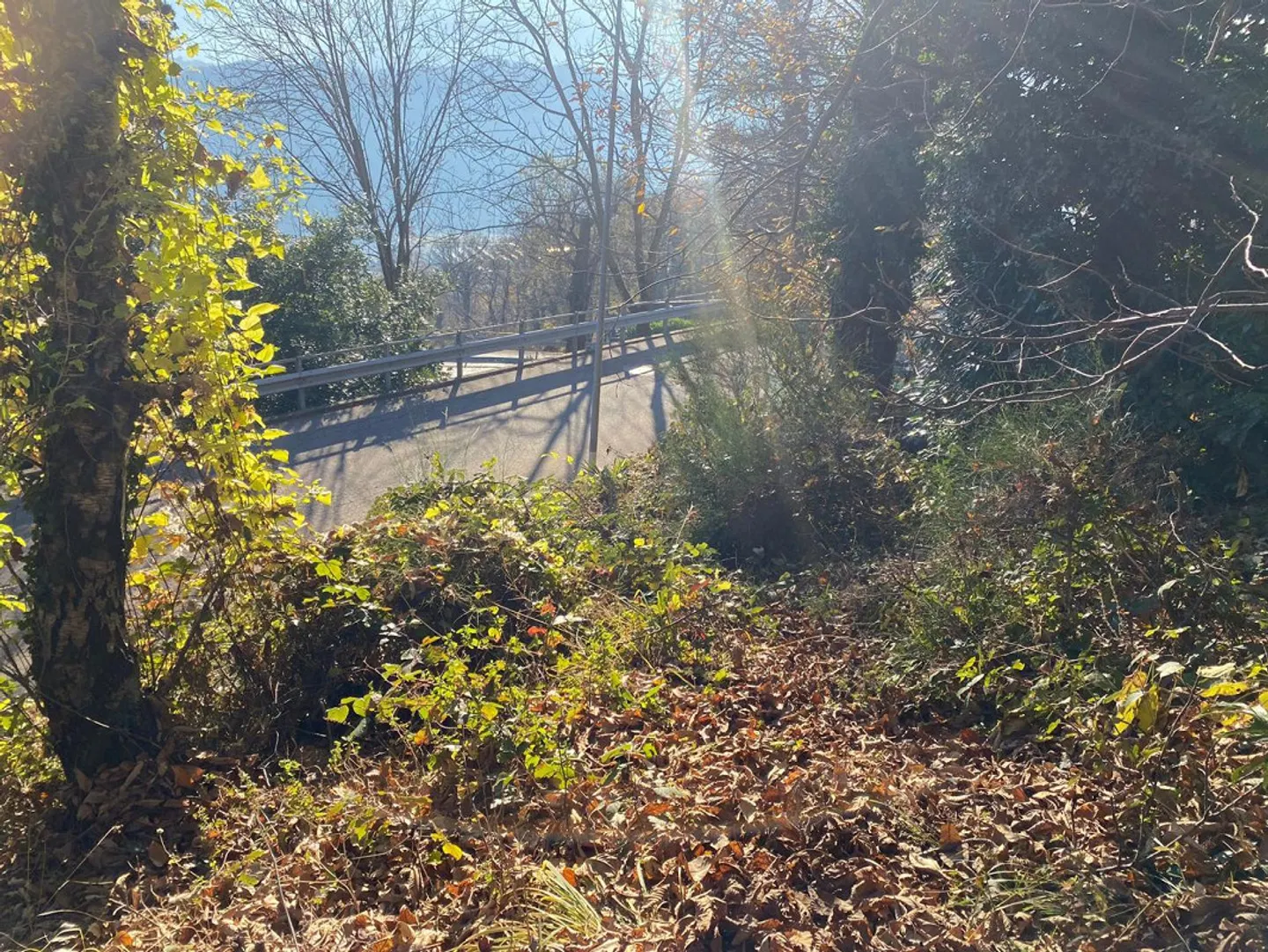 Baugrundstück 2141 m2 sehr ruhig, sonnig mit Aussicht ... - Foto 11 von 12