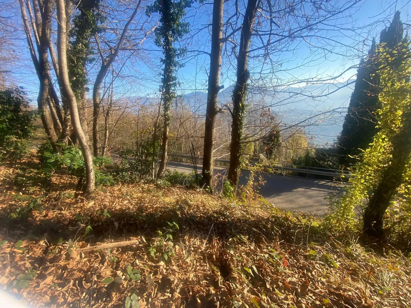 Baugrundstück 2141 m2 sehr ruhig, sonnig mit Aussicht ... - Foto 12 von 12