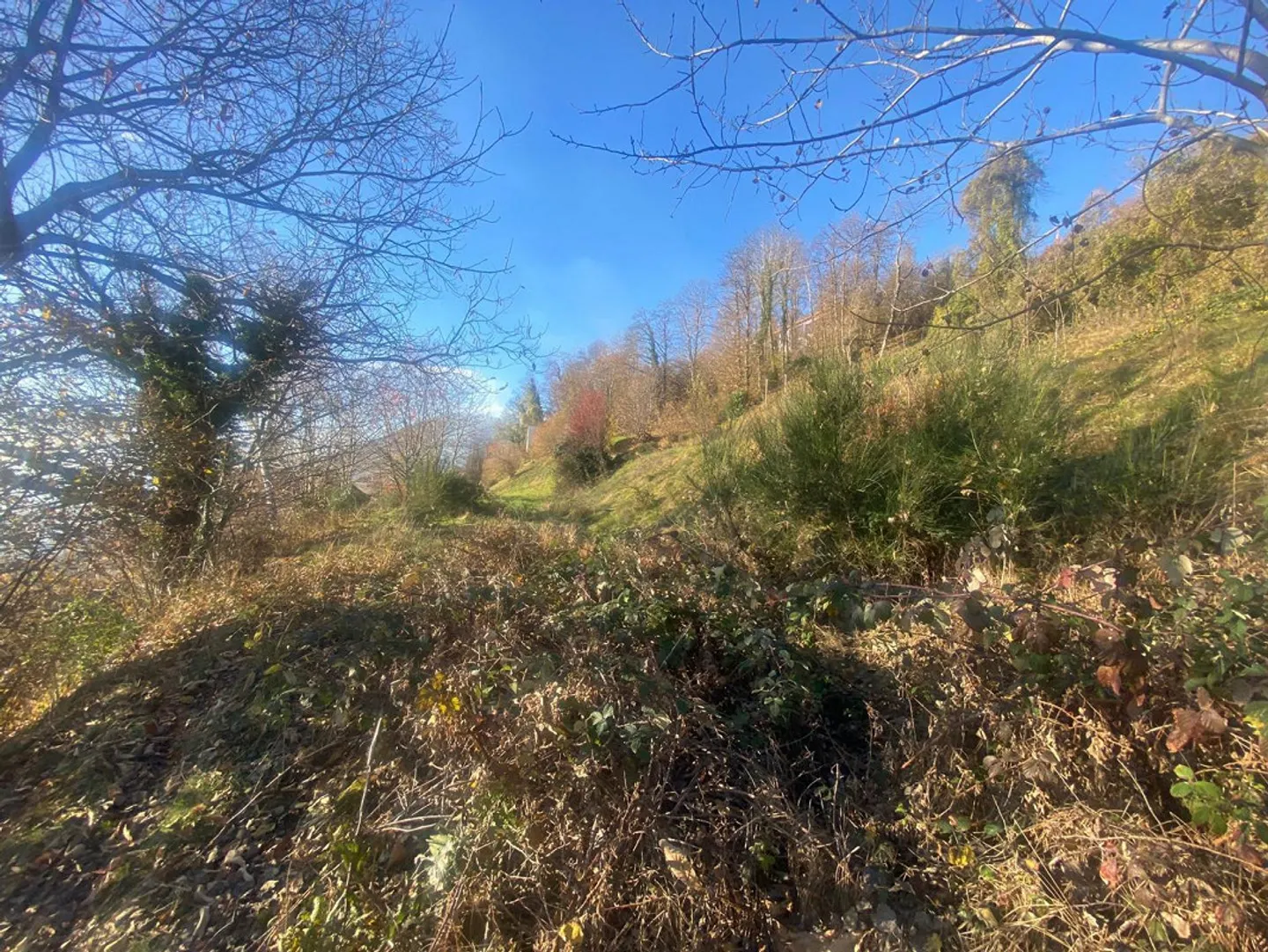 Baugrundstück 2141 m2 sehr ruhig, sonnig mit Aussicht ... - Foto 6 von 12