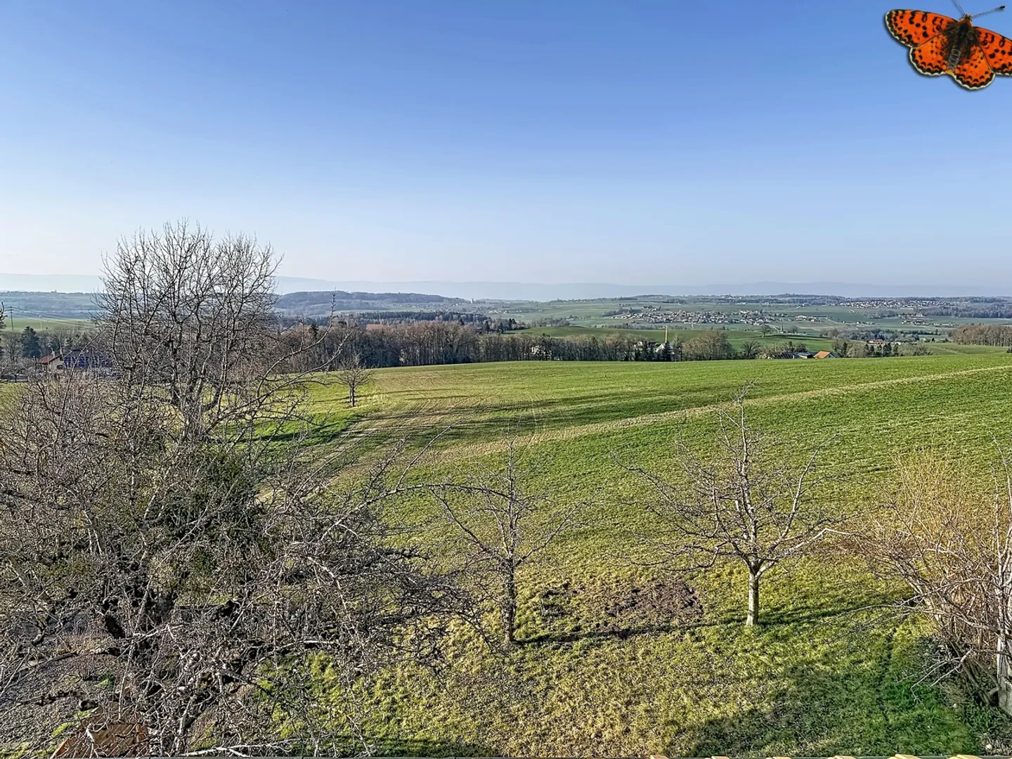 4 ½ PIÈCES - Au calme - Foto 13 von 13