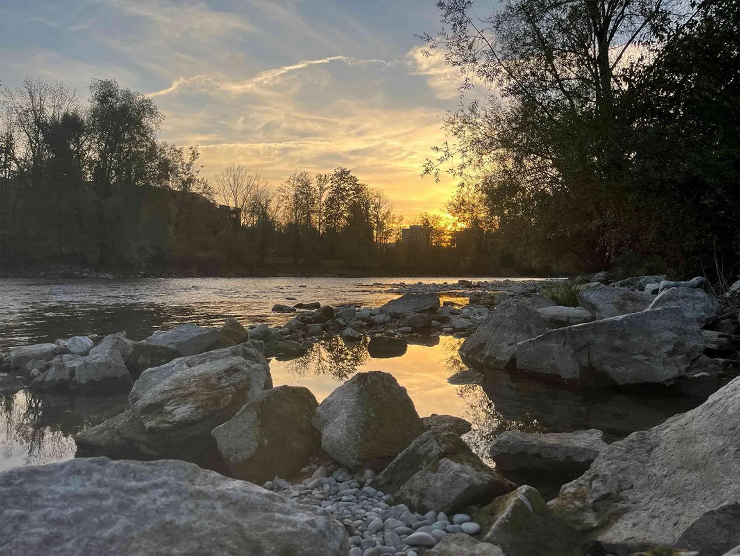 Room in beautiful apartment near the Limmat - Photo 3 of 11