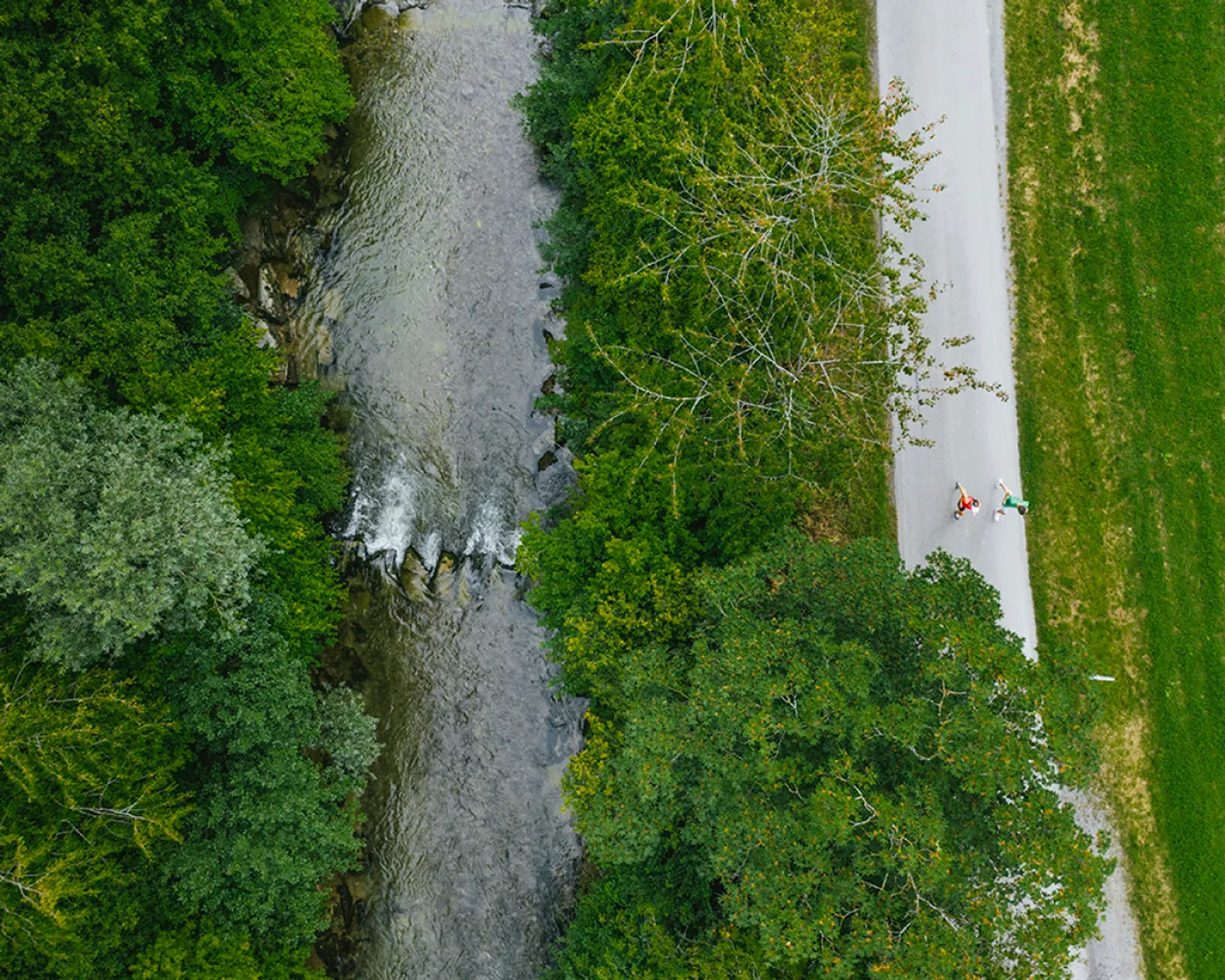 Spazio ufficio in affitto - Foto 6 di 11