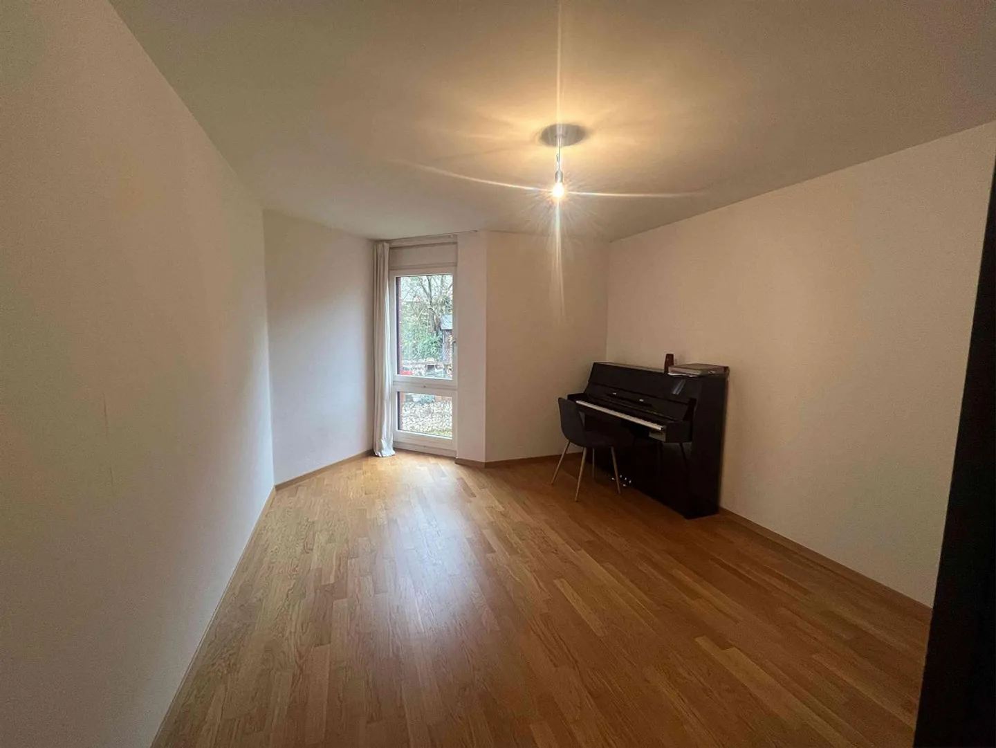 Room in beautiful apartment near the Limmat - Photo 5 of 11