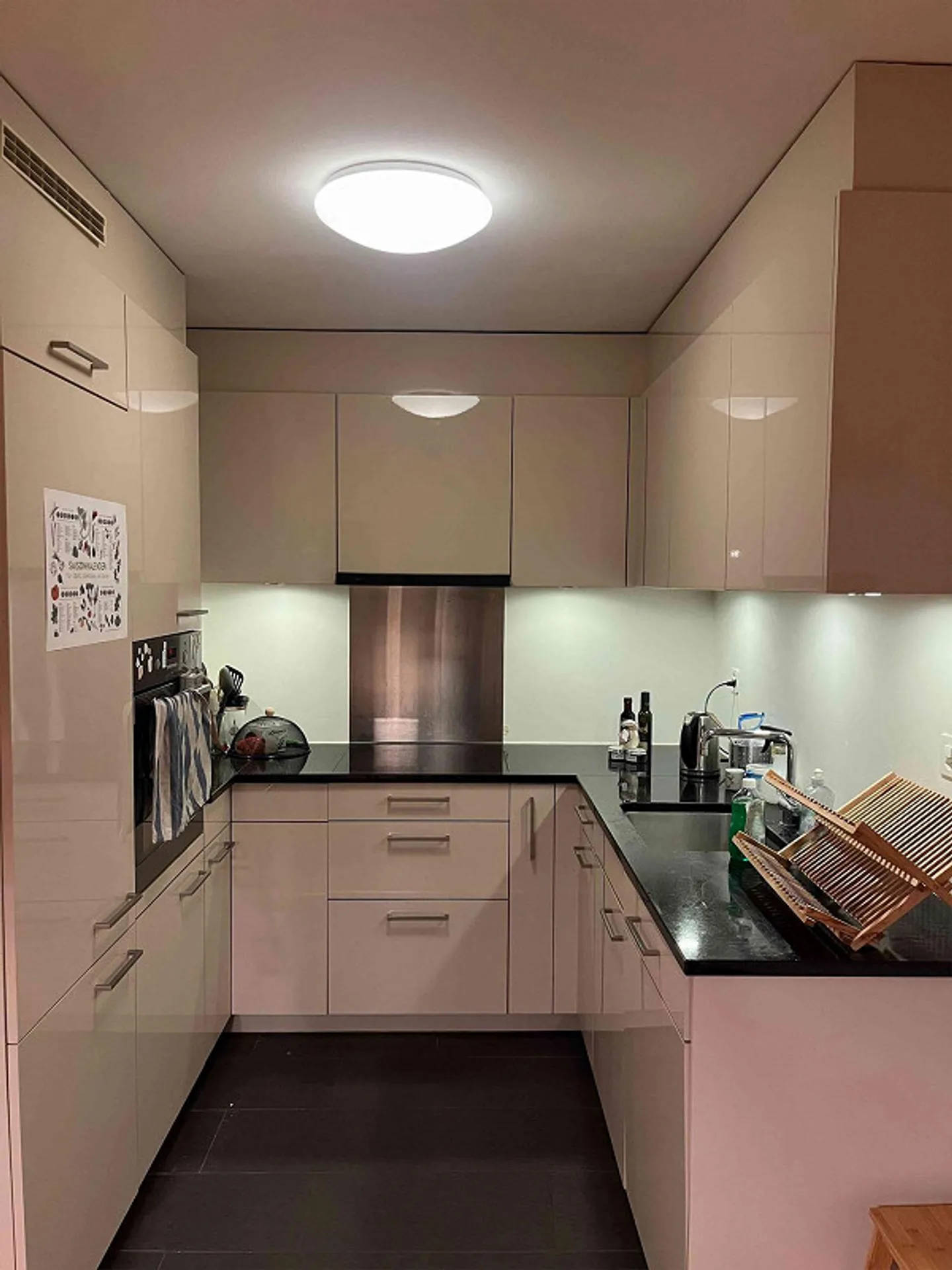 Room in beautiful apartment near the Limmat - Photo 7 of 11