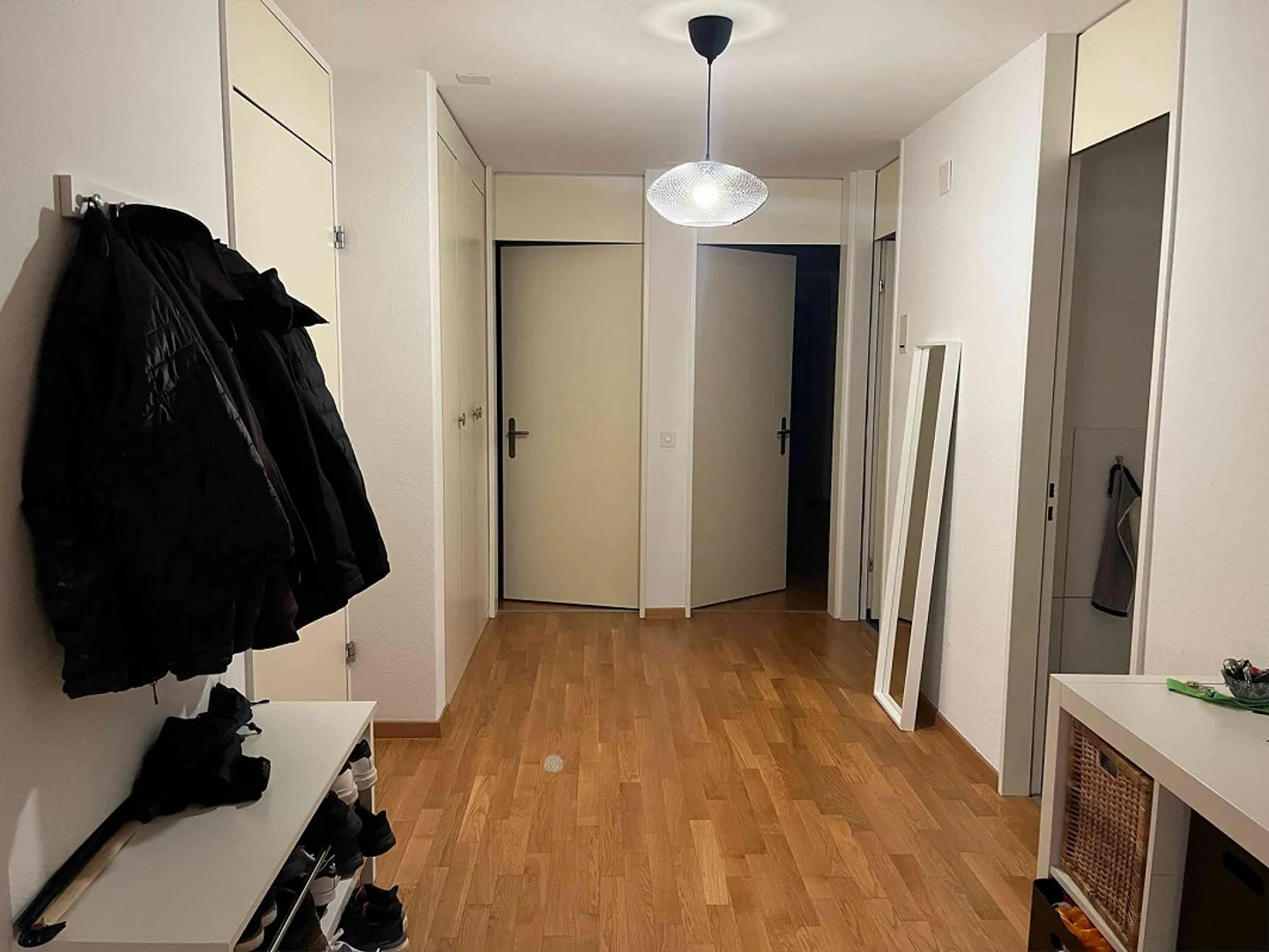 Room in beautiful apartment near the Limmat - Photo 9 of 11