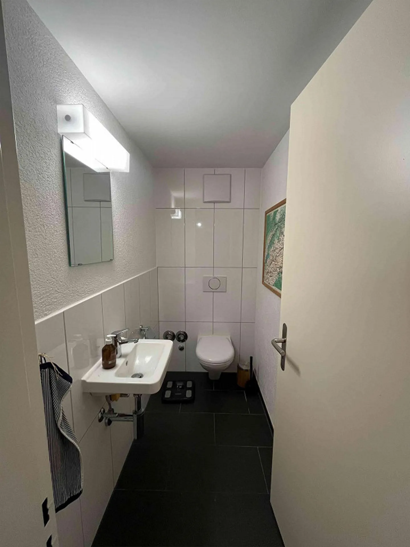 Room in beautiful apartment near the Limmat - Photo 10 of 11