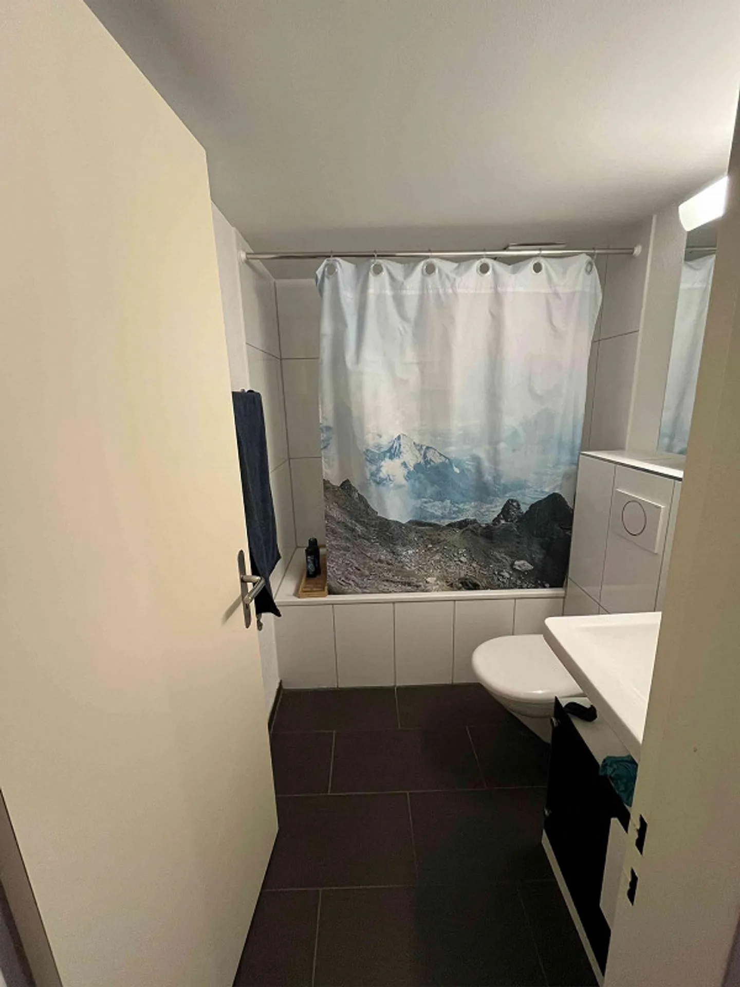 Room in beautiful apartment near the Limmat - Photo 11 of 11