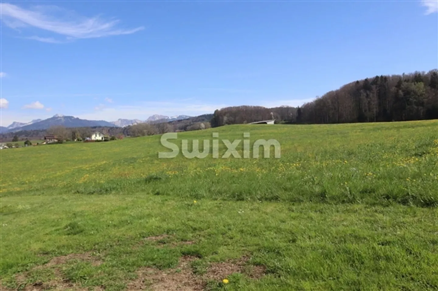 Letzte Chance! 5.5 Zimmer Triplex in den Freiburger Alpen! - Foto 1 von 8