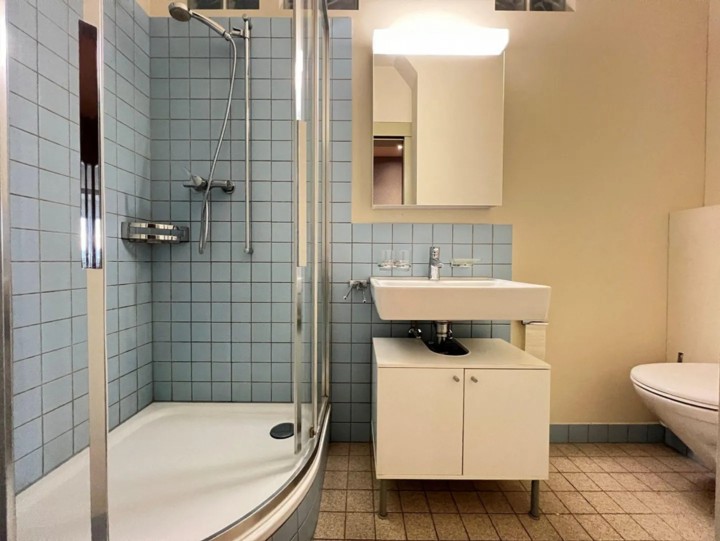 5.0-Room Apartment in Winterthur - Photo 4 of 13