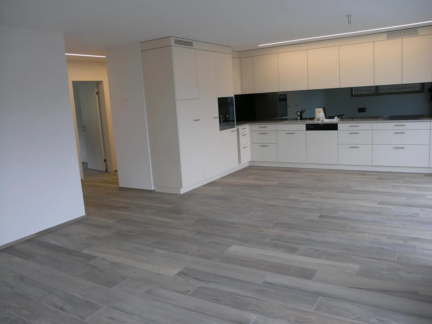 Beautiful sunny 3.5 room apartment - Photo 4 of 13