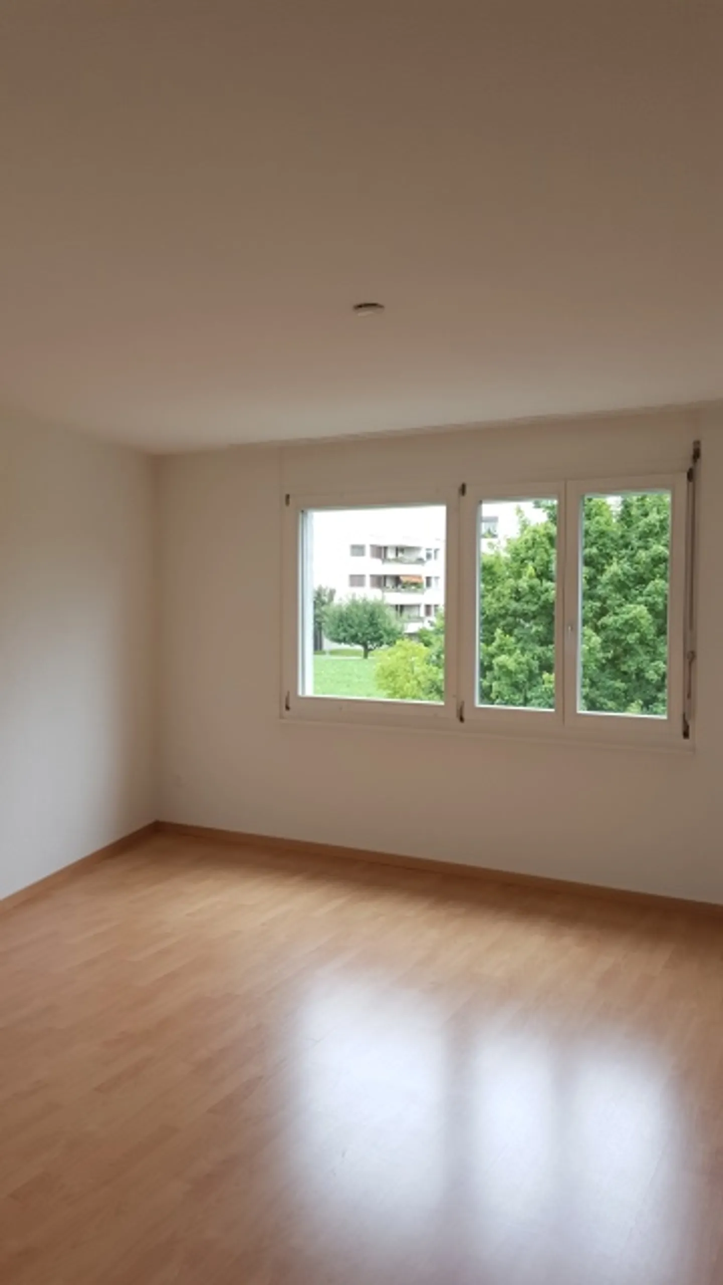 Grosszügige 3.5-Zimmerwohnung - Foto 5 von 7