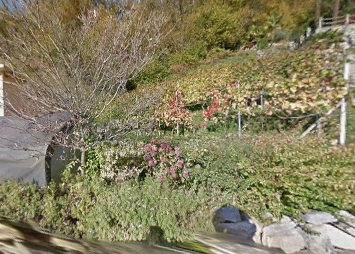 Terrain constructible à vendre - Photo 1 sur 13