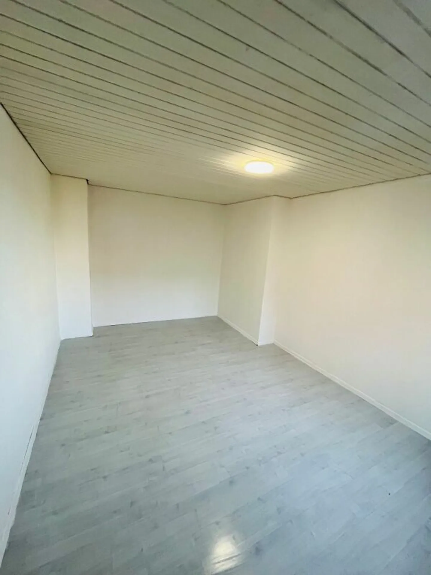 Attraktives MFH - Foto 8 von 15