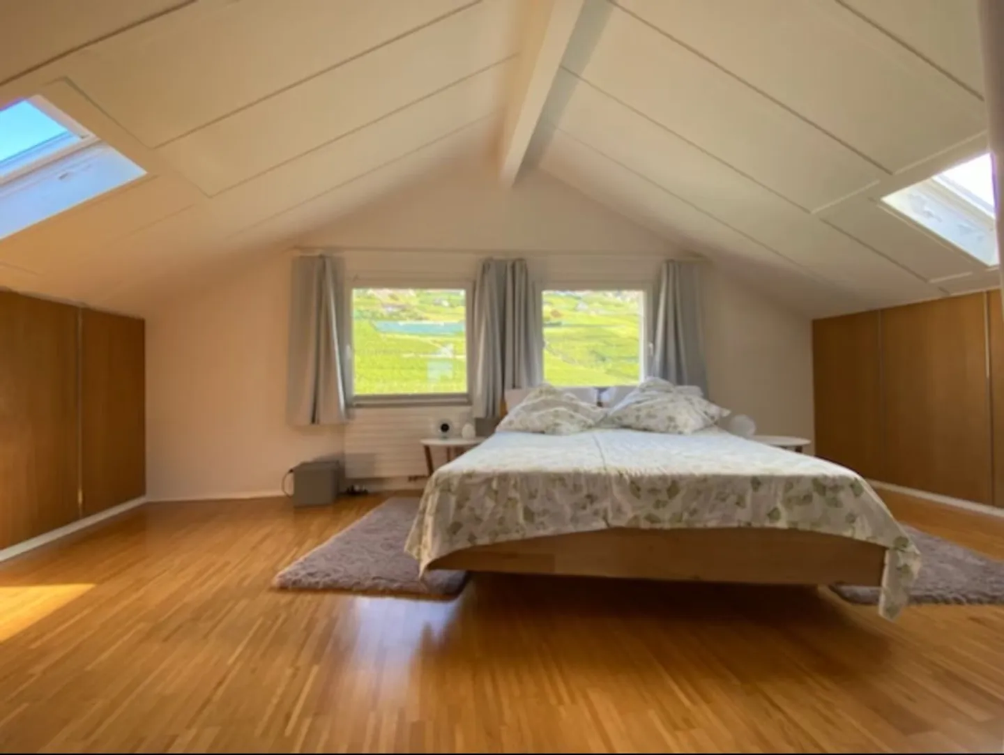 Magnificent apartment with high standard in Grandvaux - Photo 11 of 13