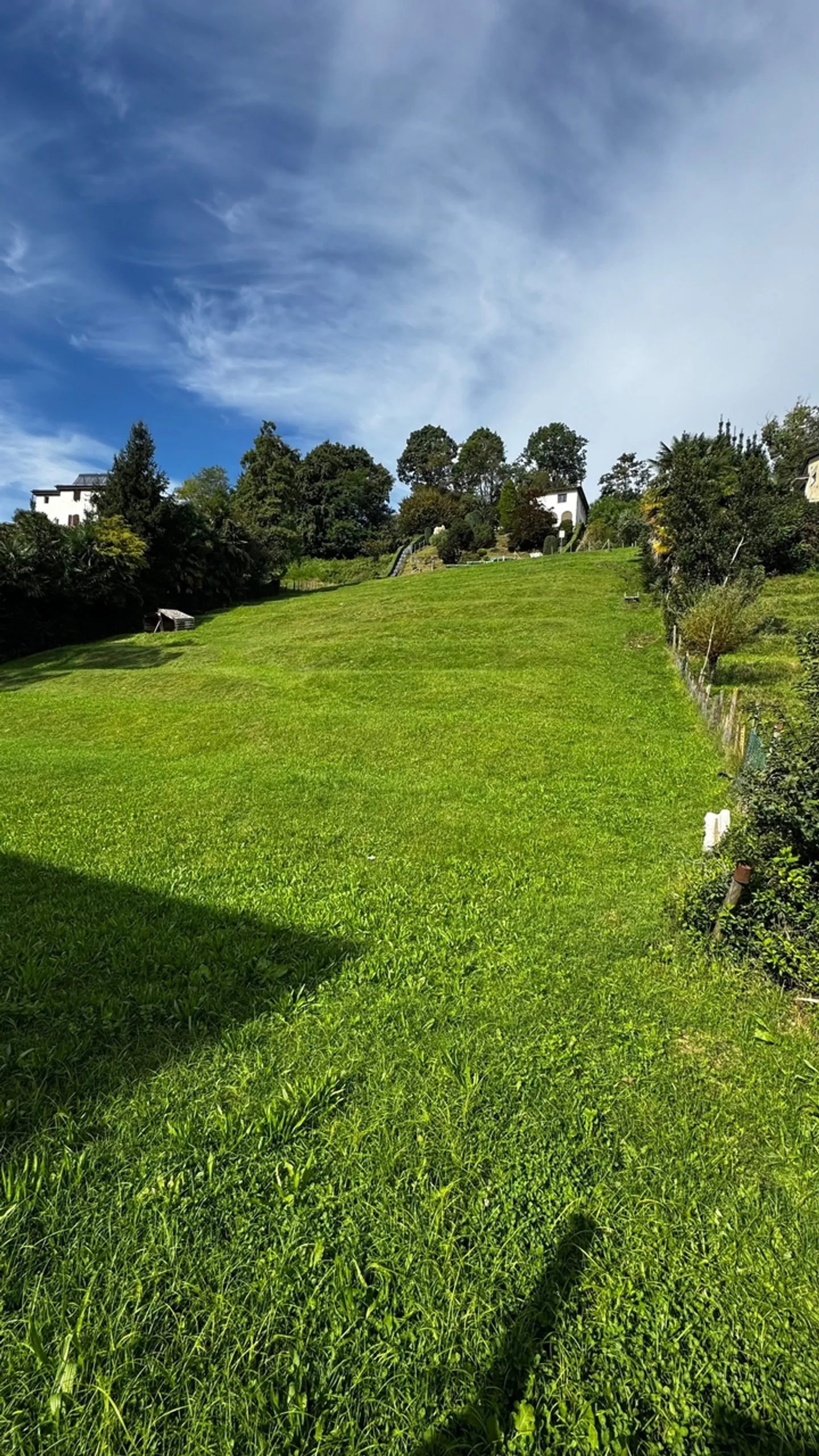 Terreno edificabile con progetto approvato a Pura - Foto 1 di 4