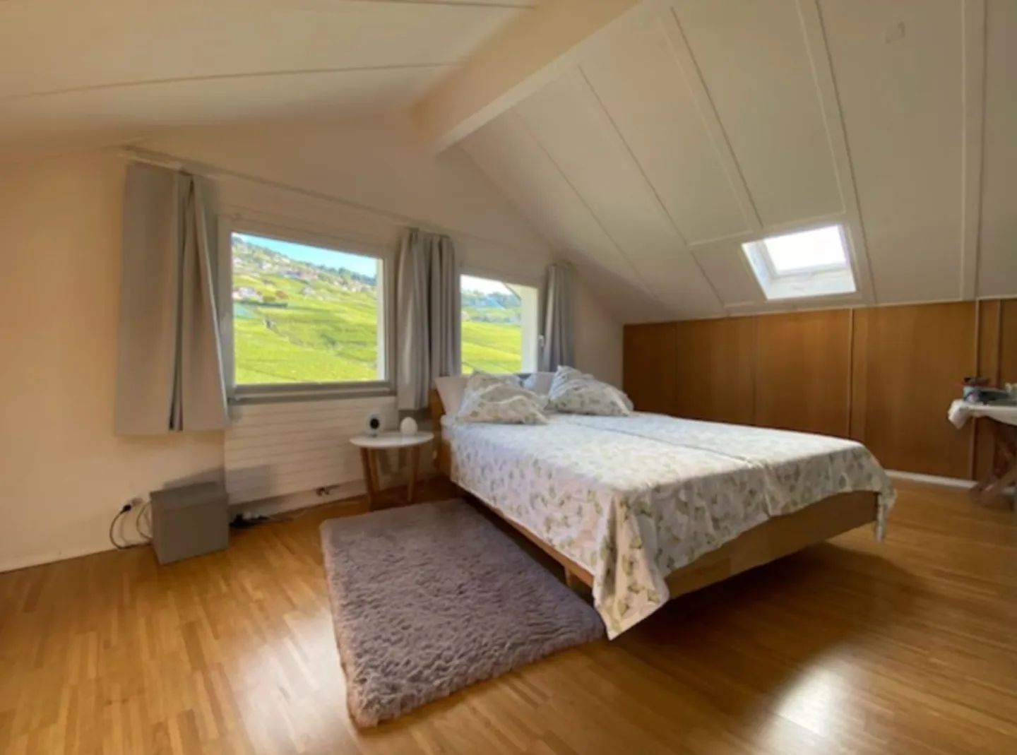 Magnificent apartment with high standard in Grandvaux - Photo 13 of 13