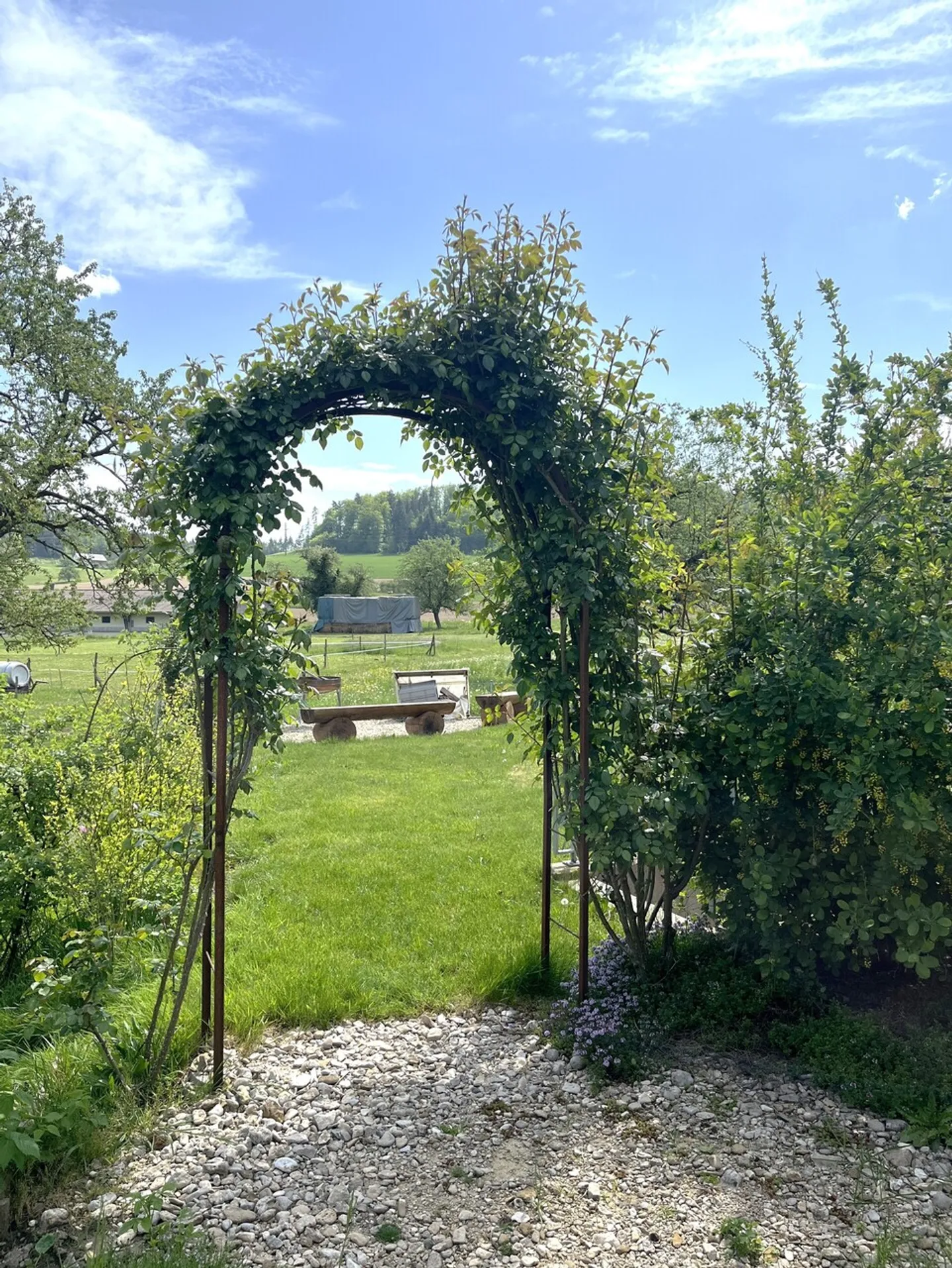 Appartement de jardin presque neuf et élégant - Photo 11 sur 12