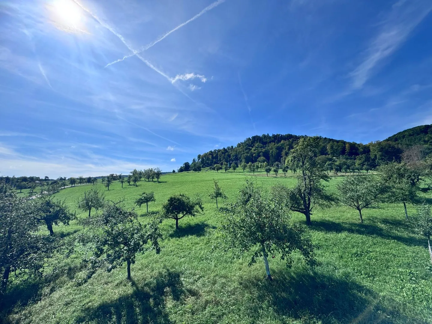 Appartement en penthouse de 4,5 pièces avec terrasse couverte spacieuse et vue panoramique - Photo 9 sur 12