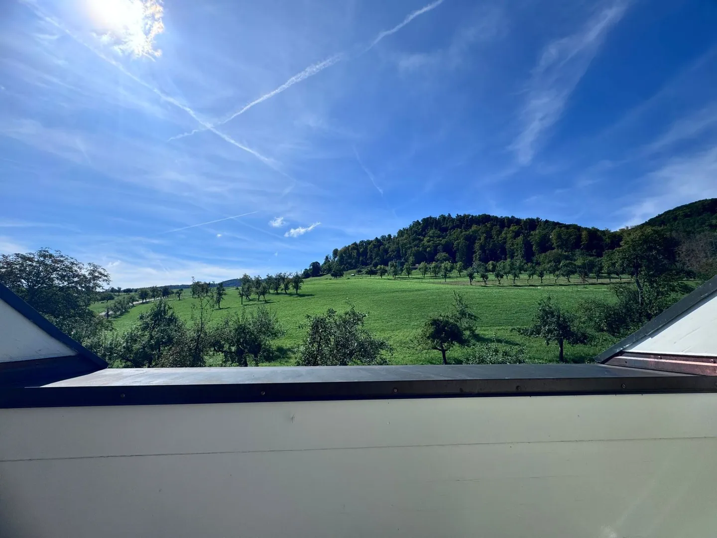 Appartement en penthouse de 4,5 pièces avec terrasse couverte spacieuse et vue panoramique - Photo 11 sur 12